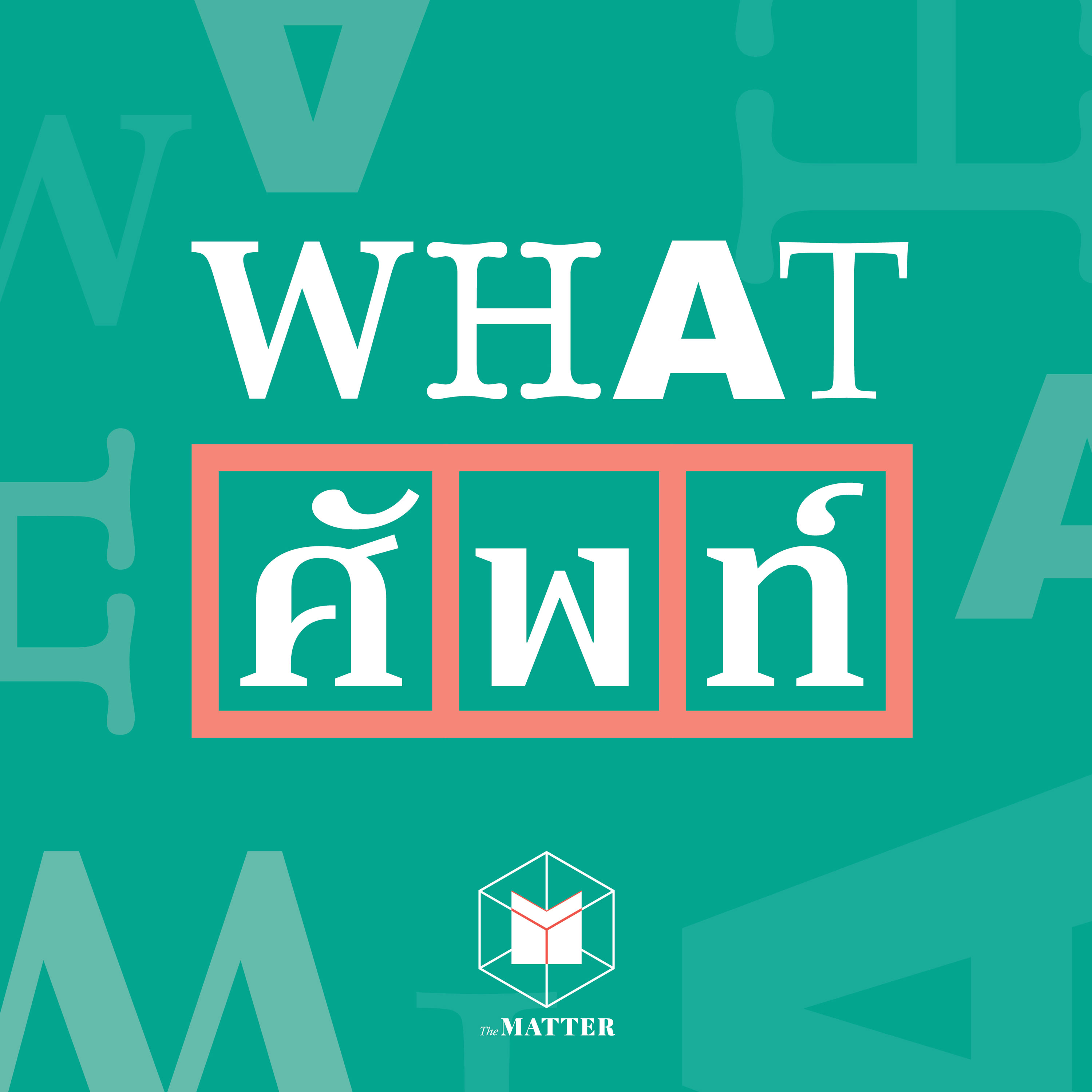 WHAT ศัพท์