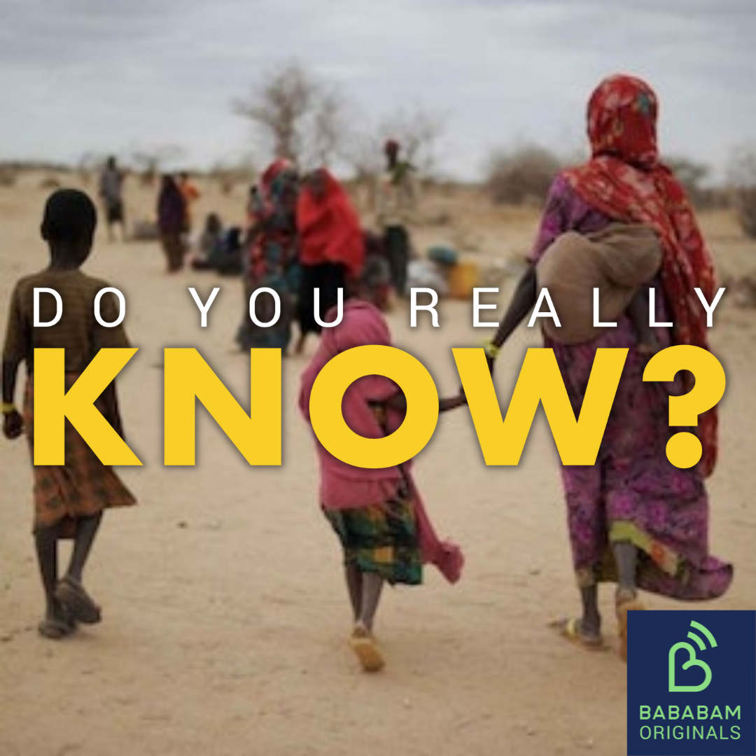 What are climate refugees?