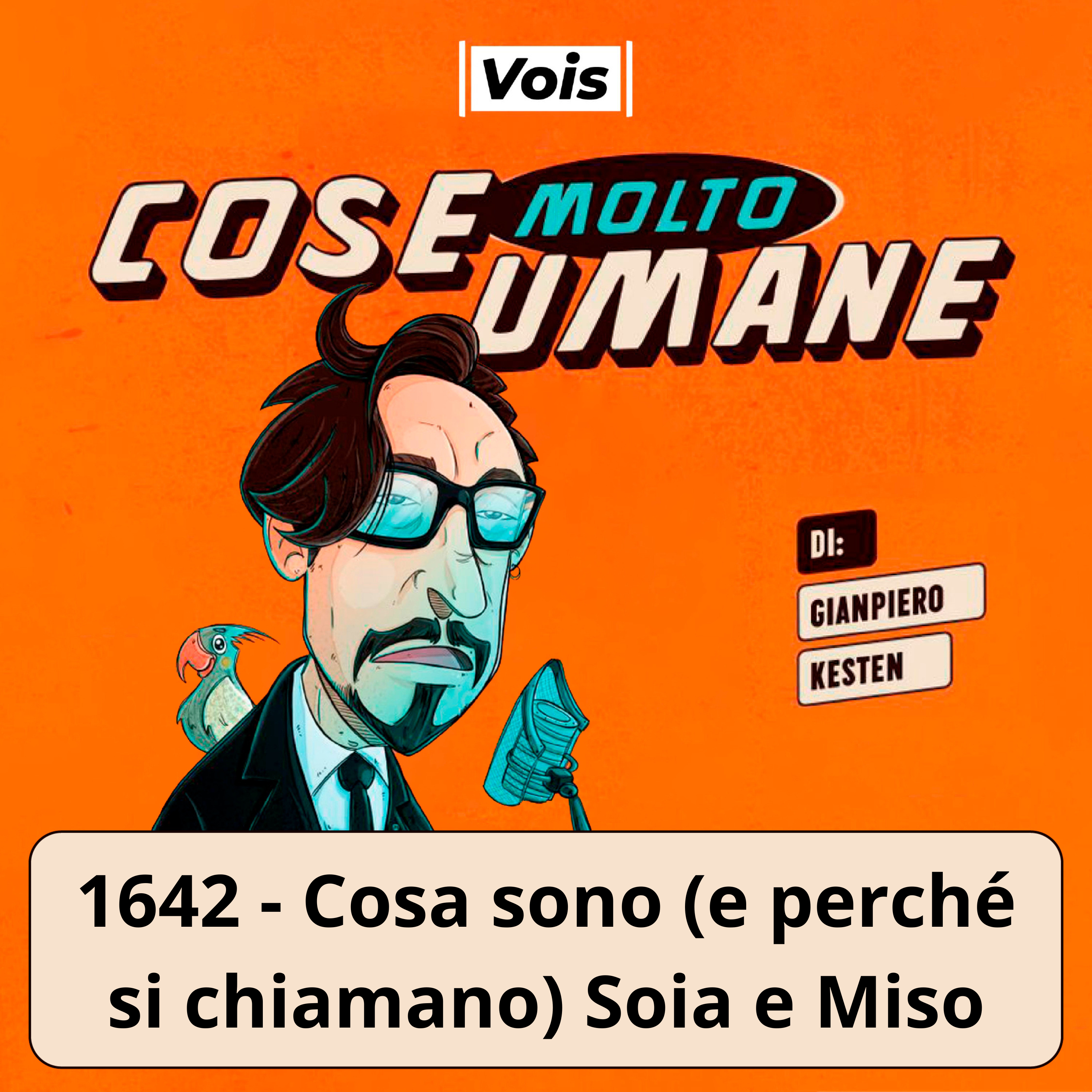 1642 - Cosa sono (e perché si chiamano) Soia e Miso