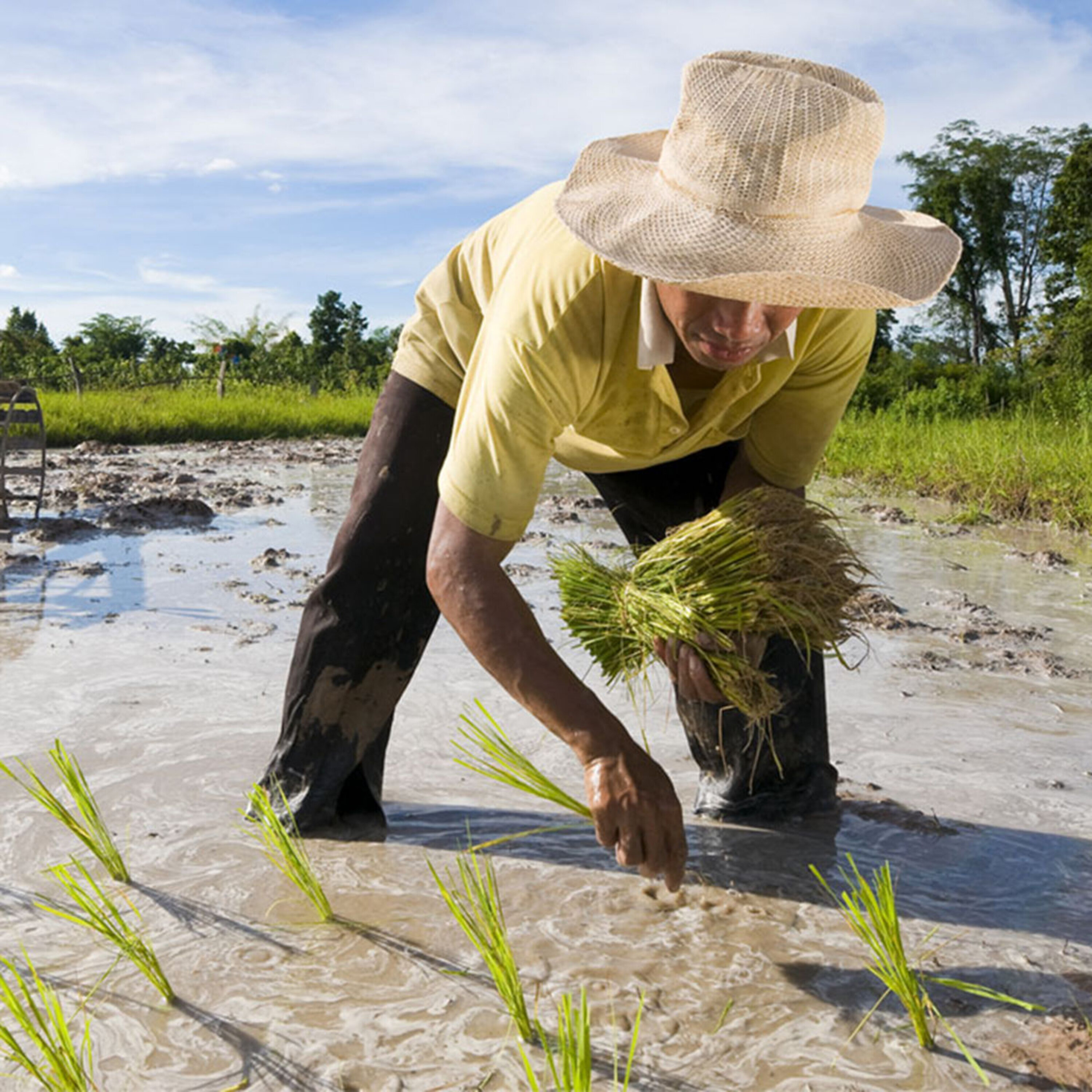 Podcast: Saving grizzlies from trains, cheap sun-powered water purification, and a deep look at science-based policymaking