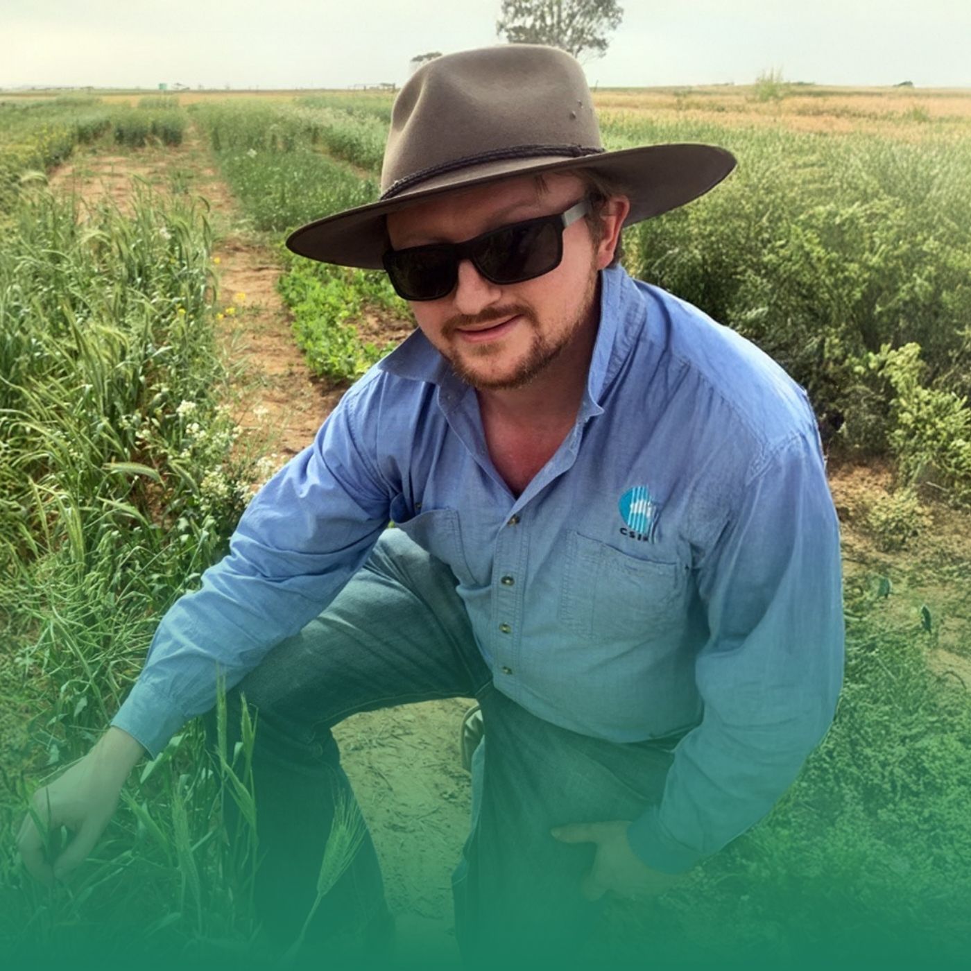 Soil health in Australia