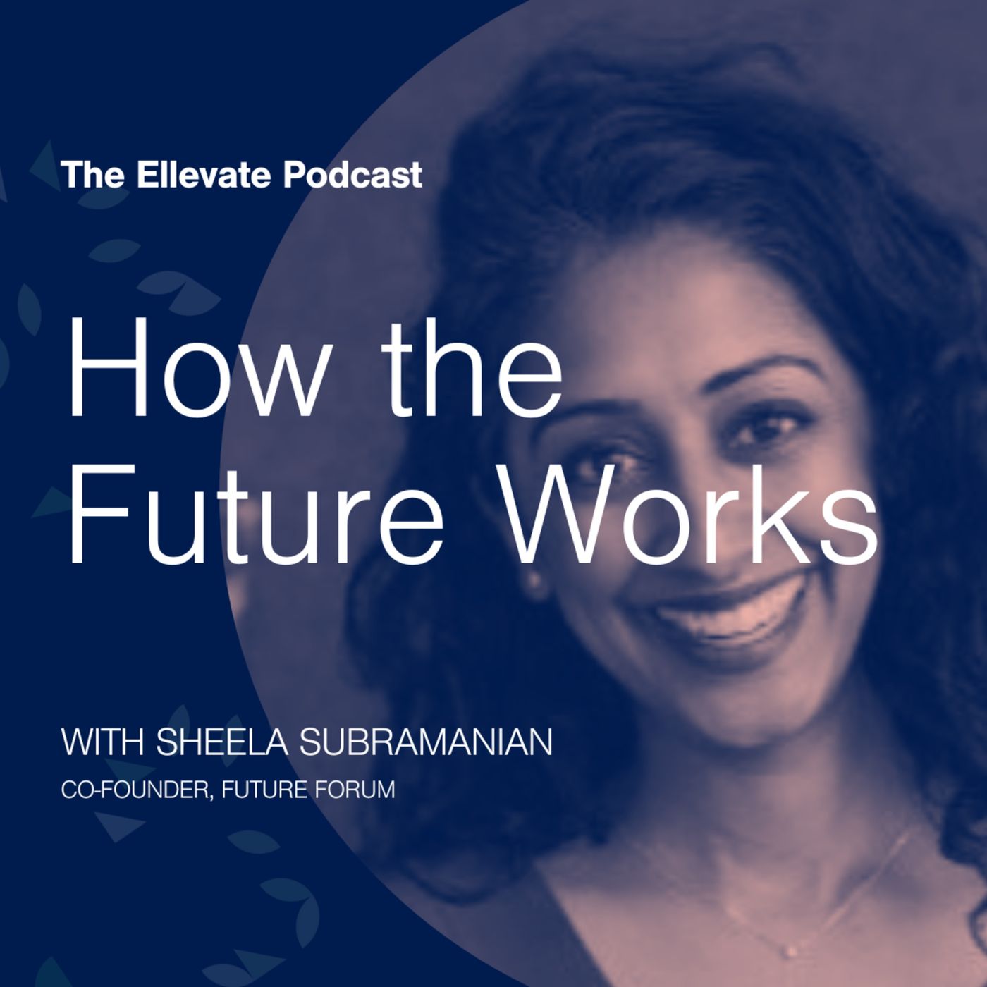 Episode 309: How the Future Works, with Sheela Subramanian episode artwork