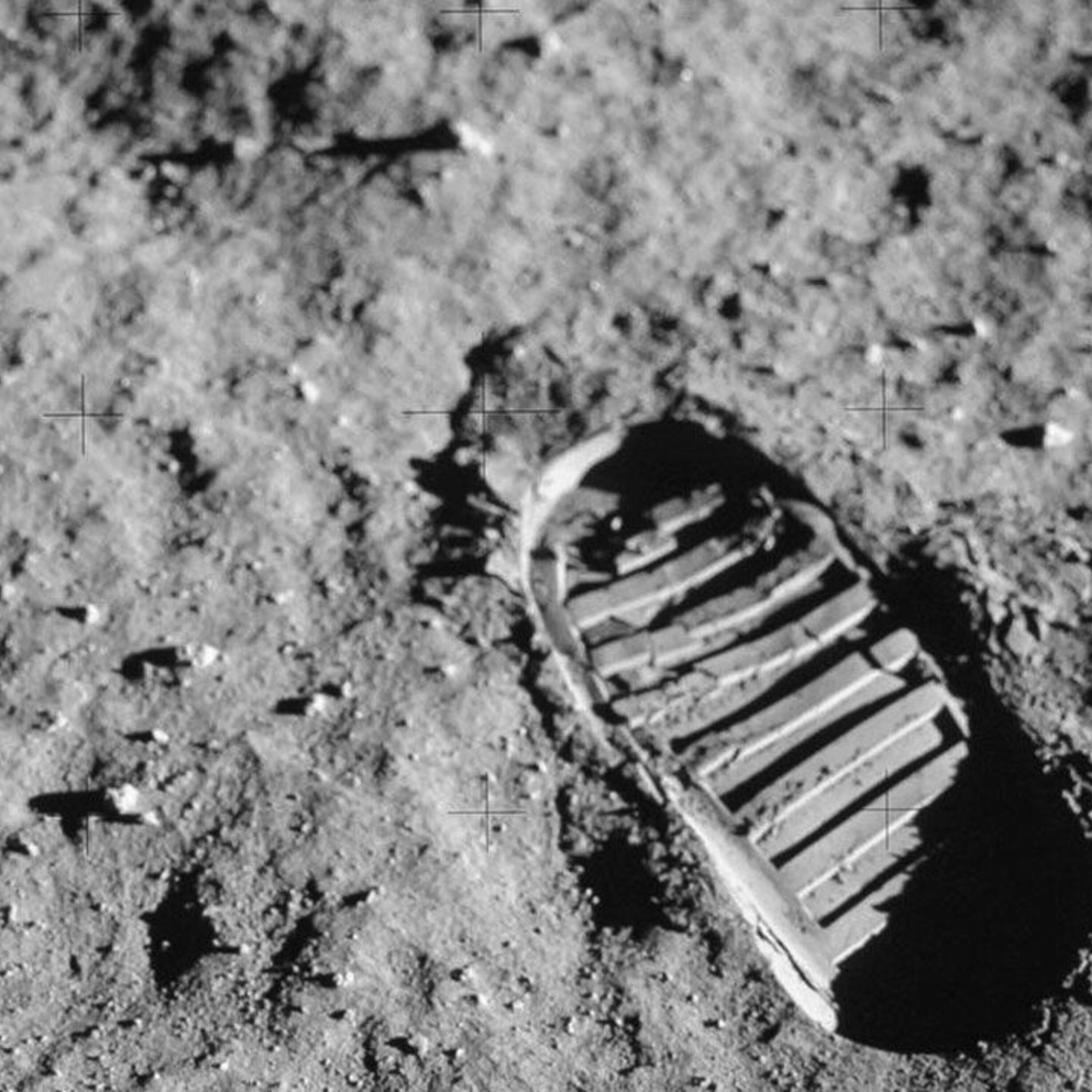 Podcast: An 80-million-year-old dinosaur protein, sending oxygen to the moon, and competitive forecasting