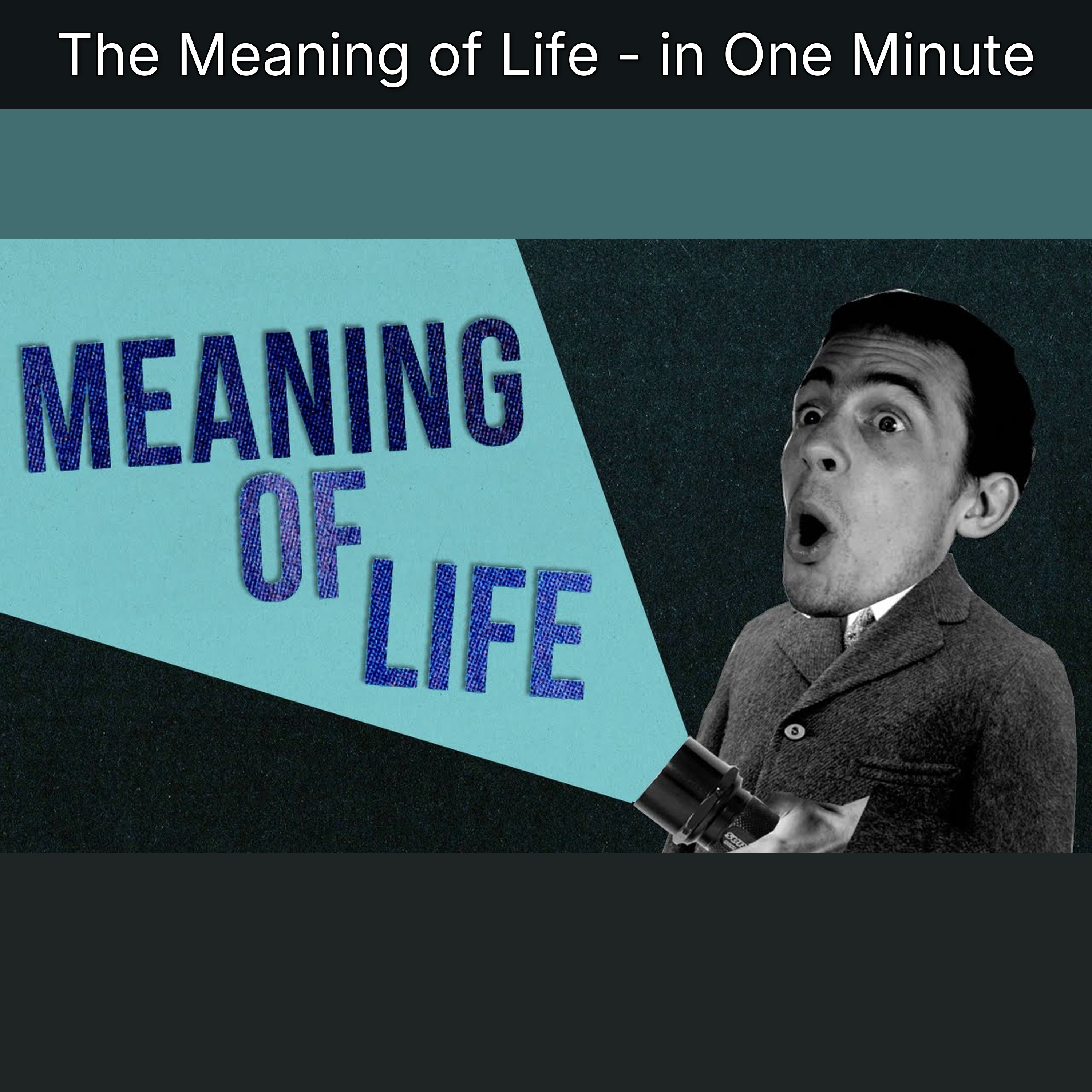 The Meaning of Life - in One Minute
