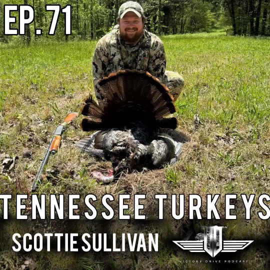 71 Tennessee Turkeys - Scottie Sullivan episode artwork