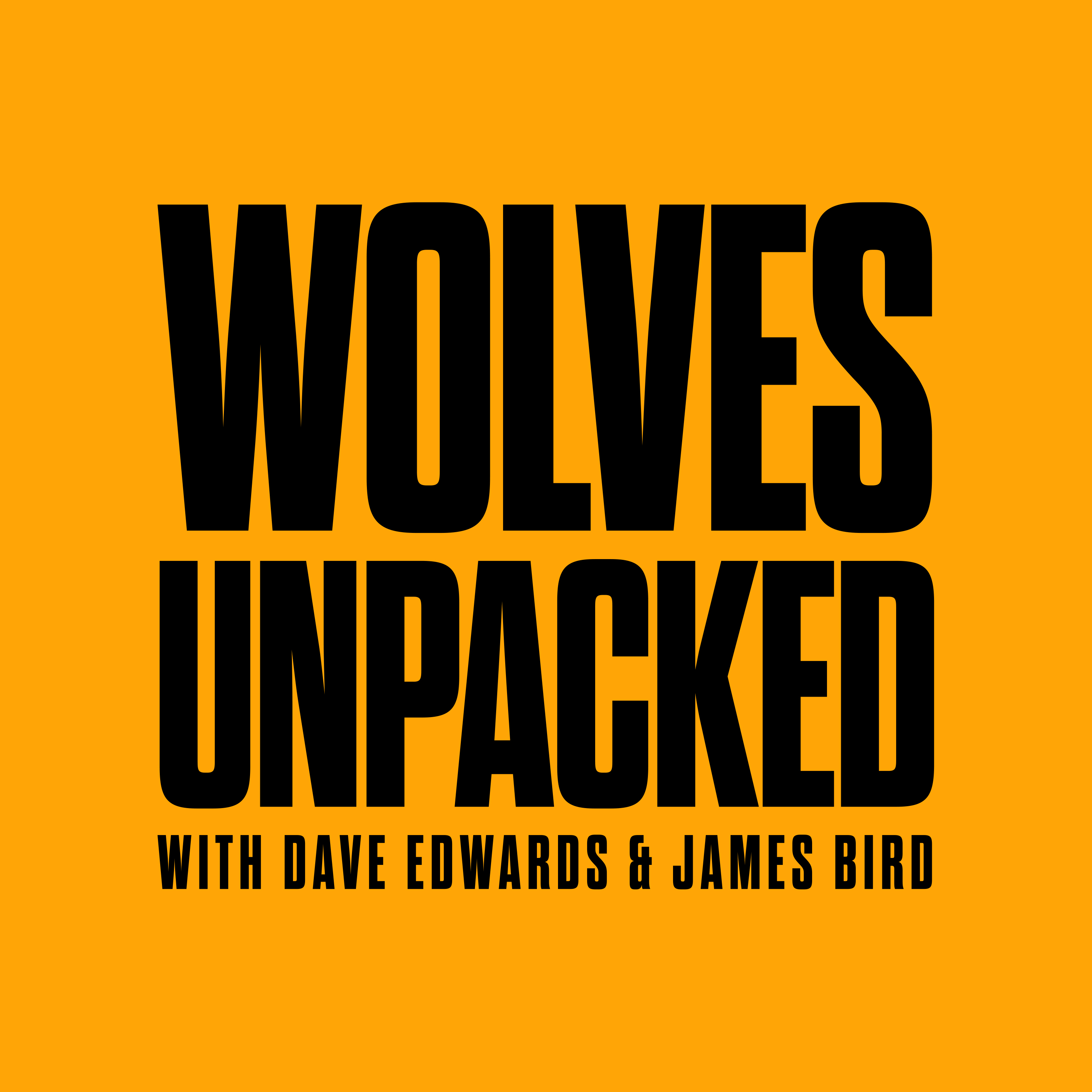 Wolves Unpacked: What’s on Wolves’ Christmas list?