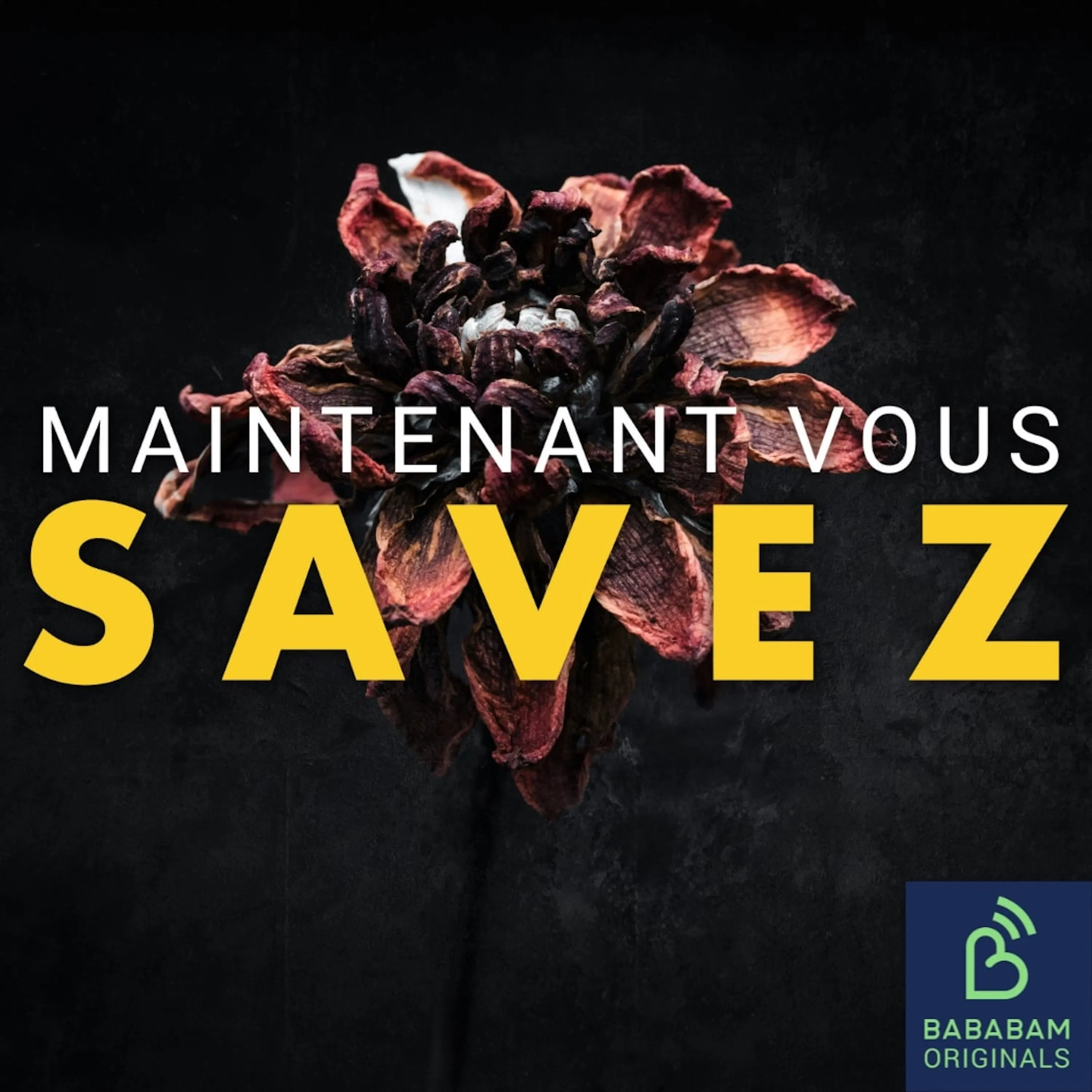 Qu’est-ce que le concept de “troisième état”, ce stade entre la vie et la mort ?