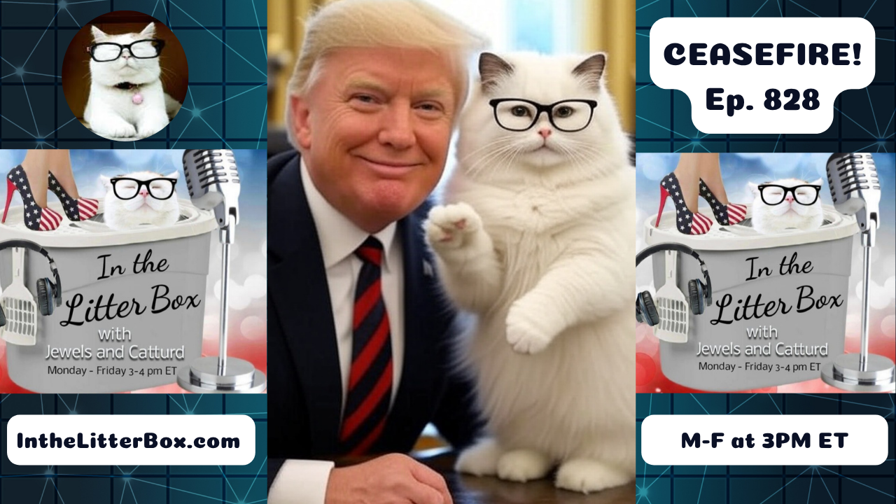 CEASEFIRE! | In the Litter Box w/ Jewels & Catturd – Ep. 828 – 6/24/2025