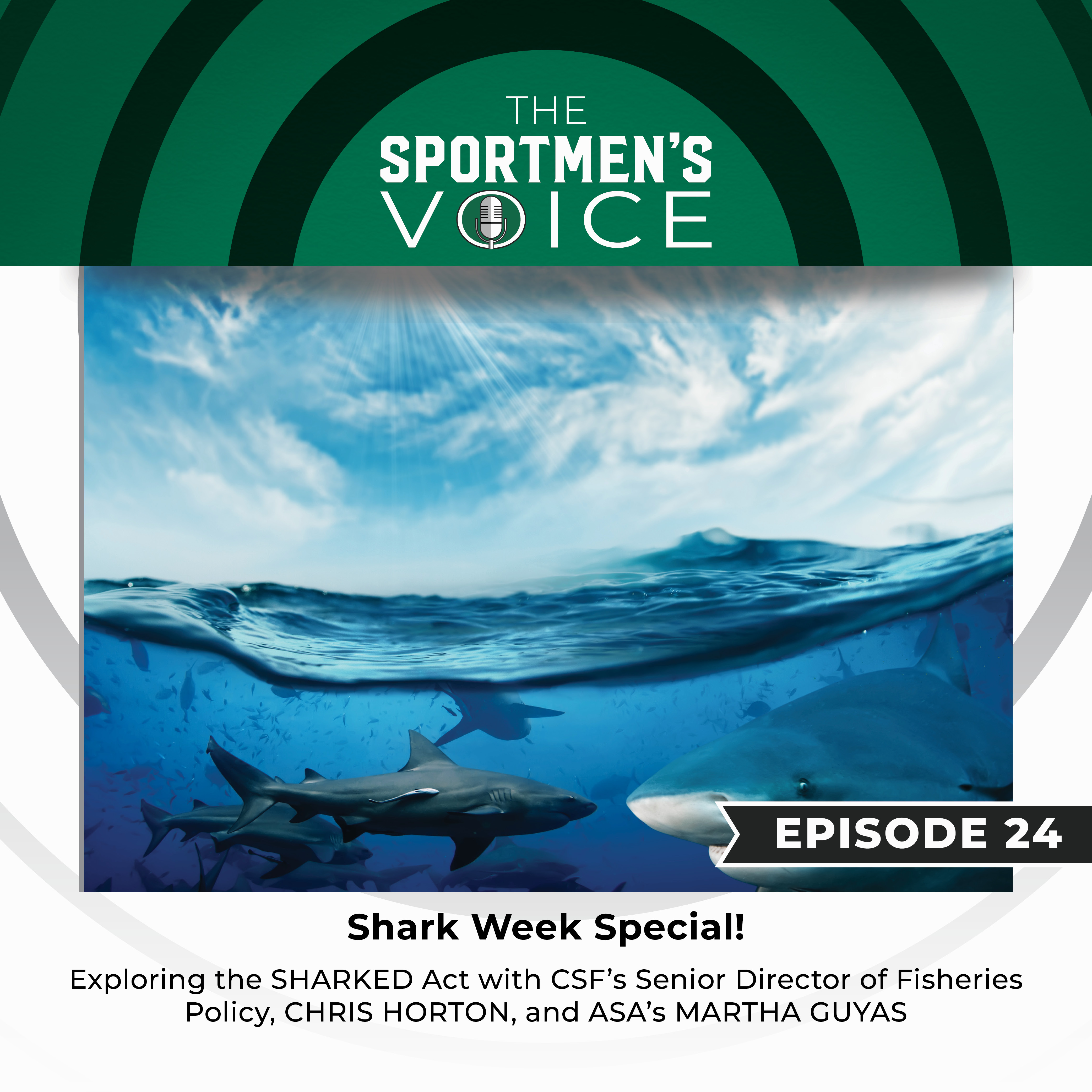 The Sportsmen\'s Voice | Hunting, Fishing and Conservation Advocacy with Congressional Sportsmen\'s Foundation