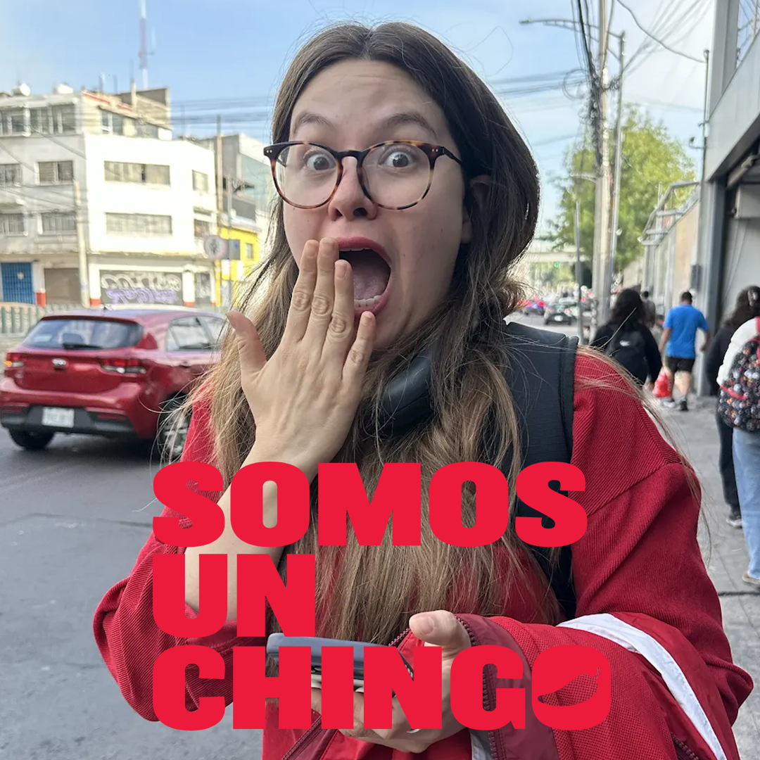 Un #ChingoDeVíboras que sí muerden episode artwork