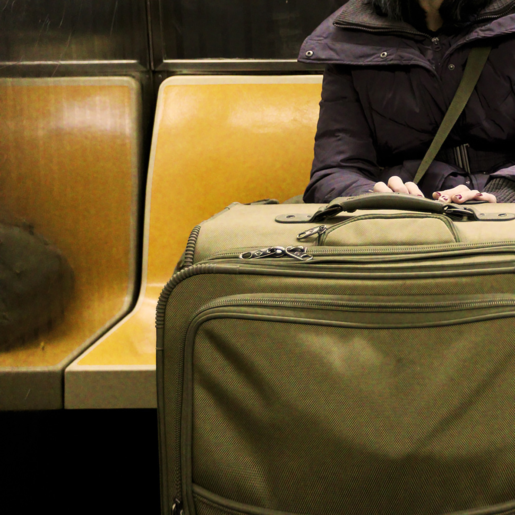 Thumbnail for "The One about the Dead Dog".