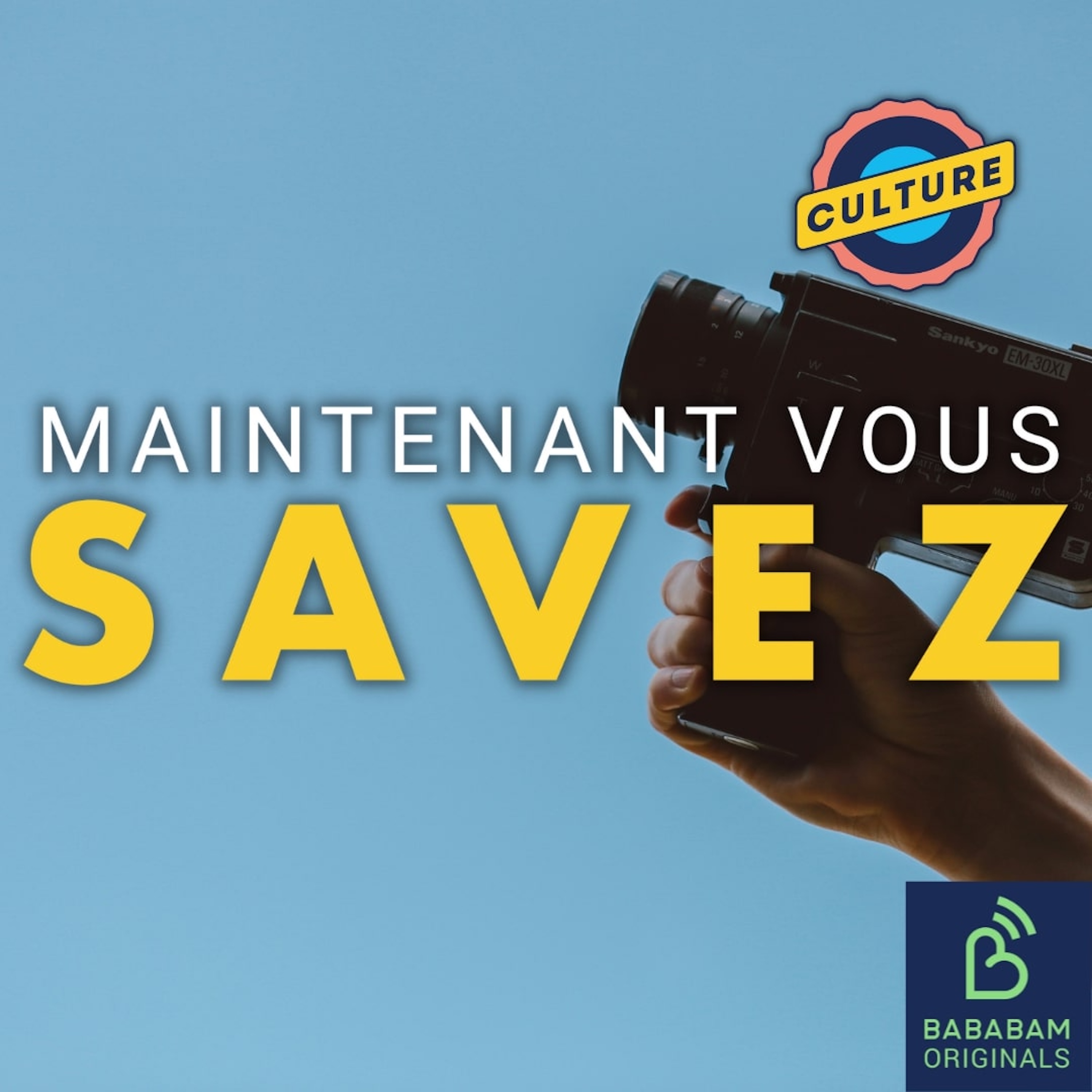 Quel est le pire film français de tous les temps selon le public ?