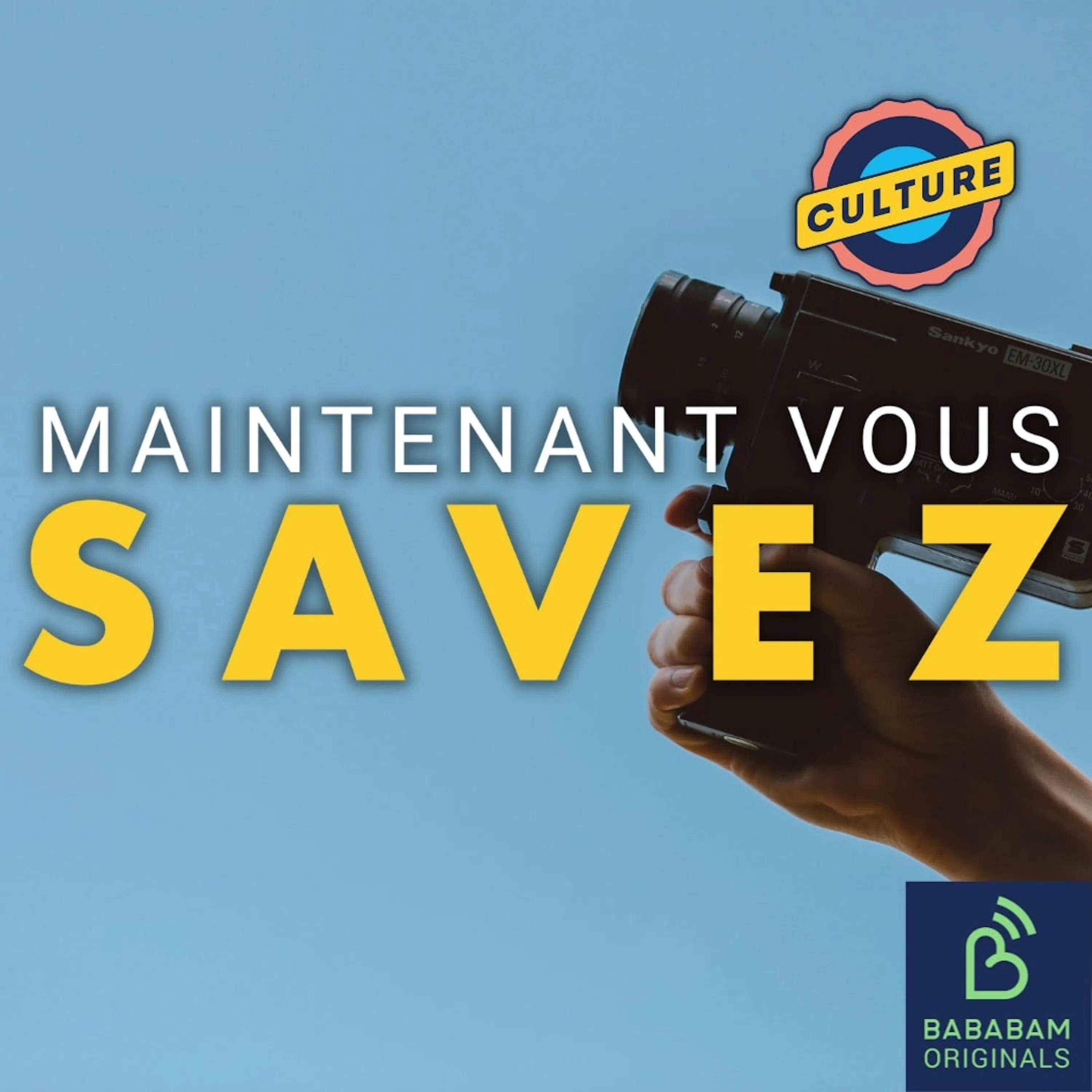 Quel est le pire film français de tous les temps selon le public ?