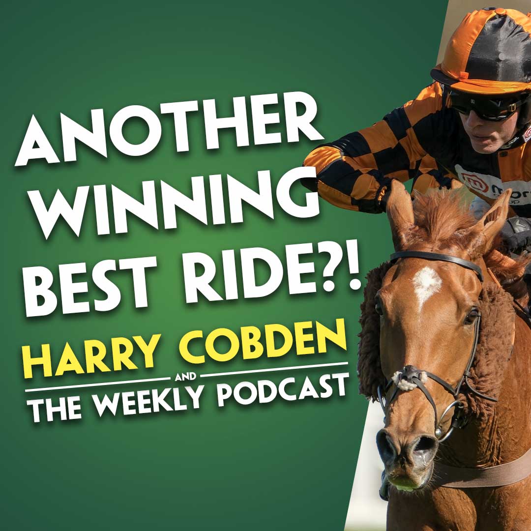 "HE'S GOING THERE WITH A NICE CHANCE" | Harry Cobden | Another winning best ride? | Pic D'Orhy