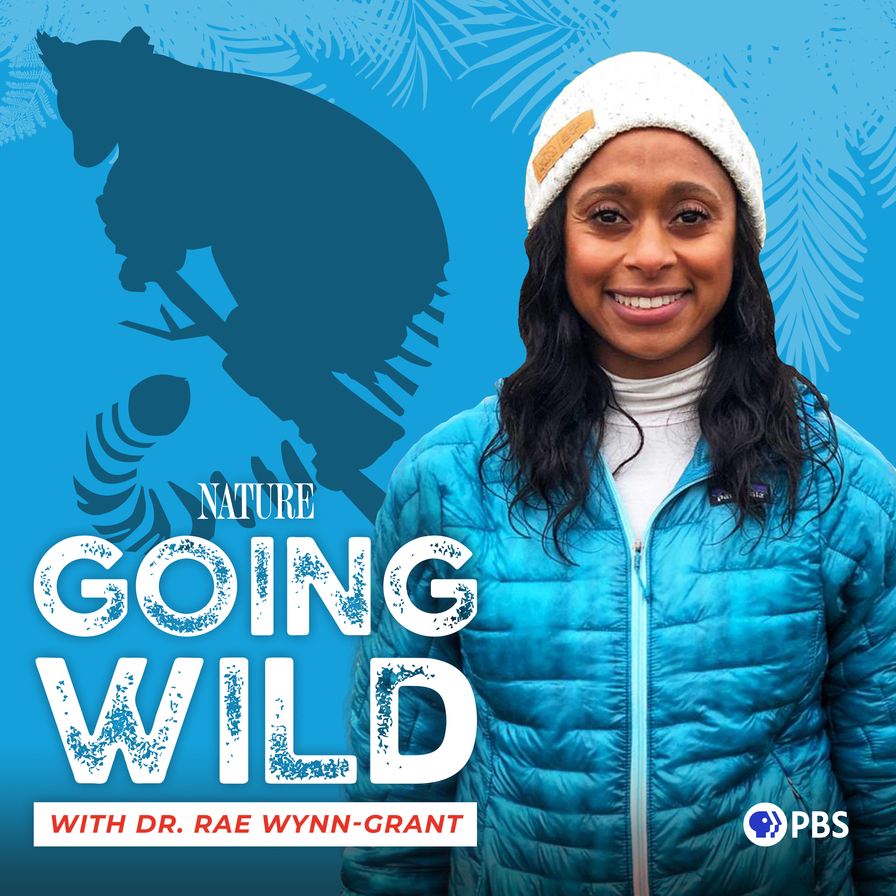 Tracking Lemurs in a Lost Rainforest