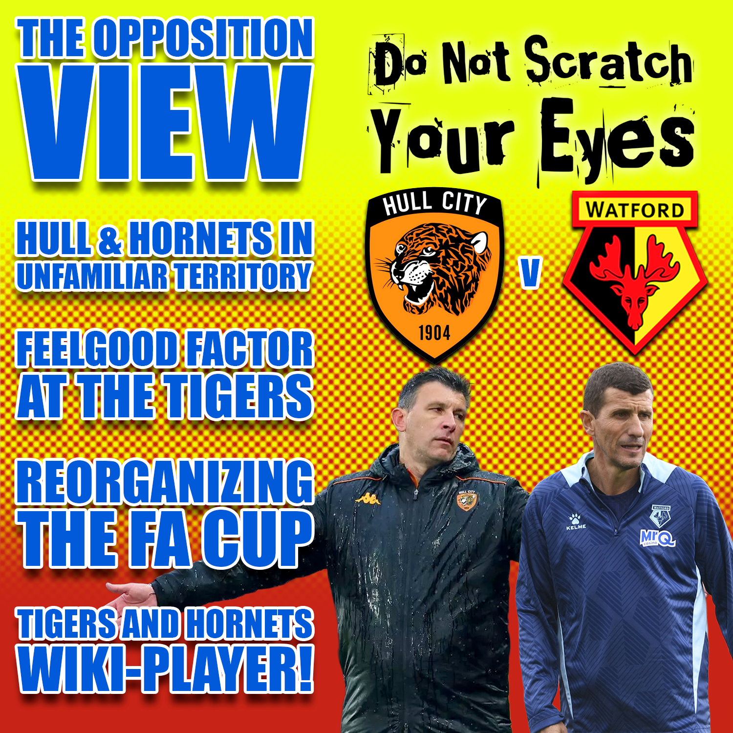 OPPOSITION VIEW - HULL CITY (AWAY)