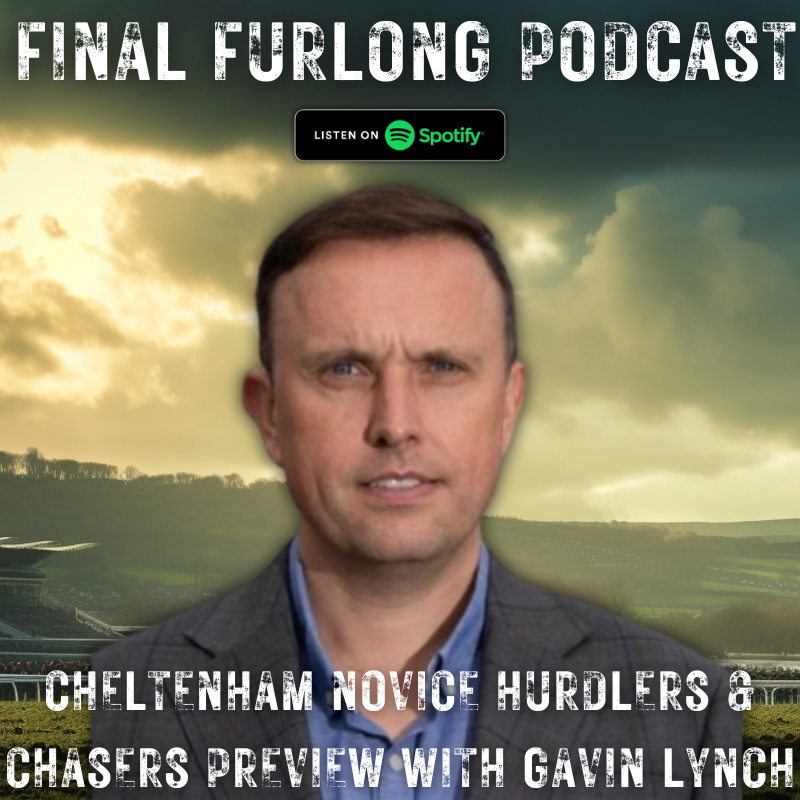 Cheltenham Preview with Gavin Lynch | Novice Chasers & Hurdlers | Championship Hurdlers | Part 1
