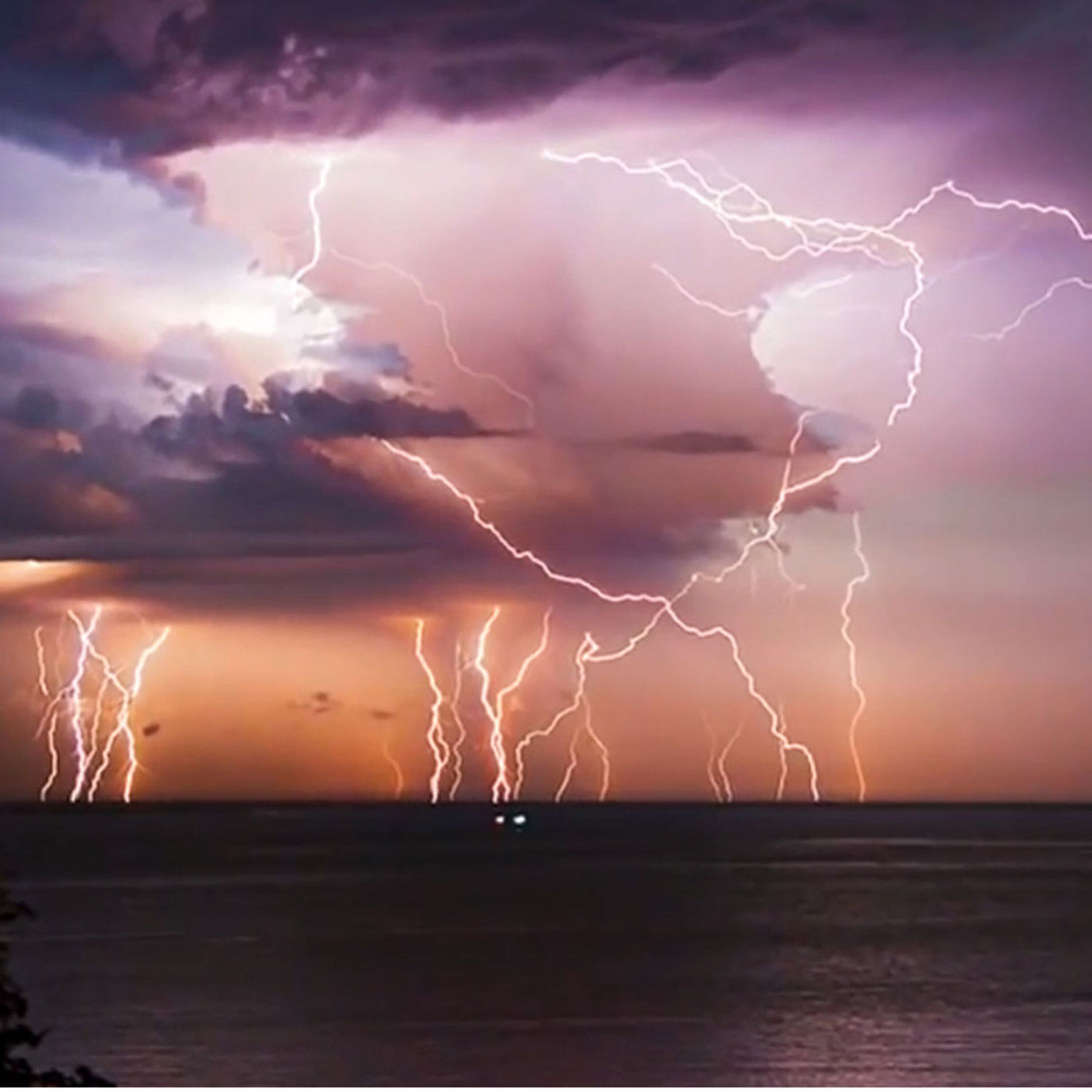 Podcast: An ethics conundrum from the Nazi era, baby dinosaur development, and a new test for mad cow disease