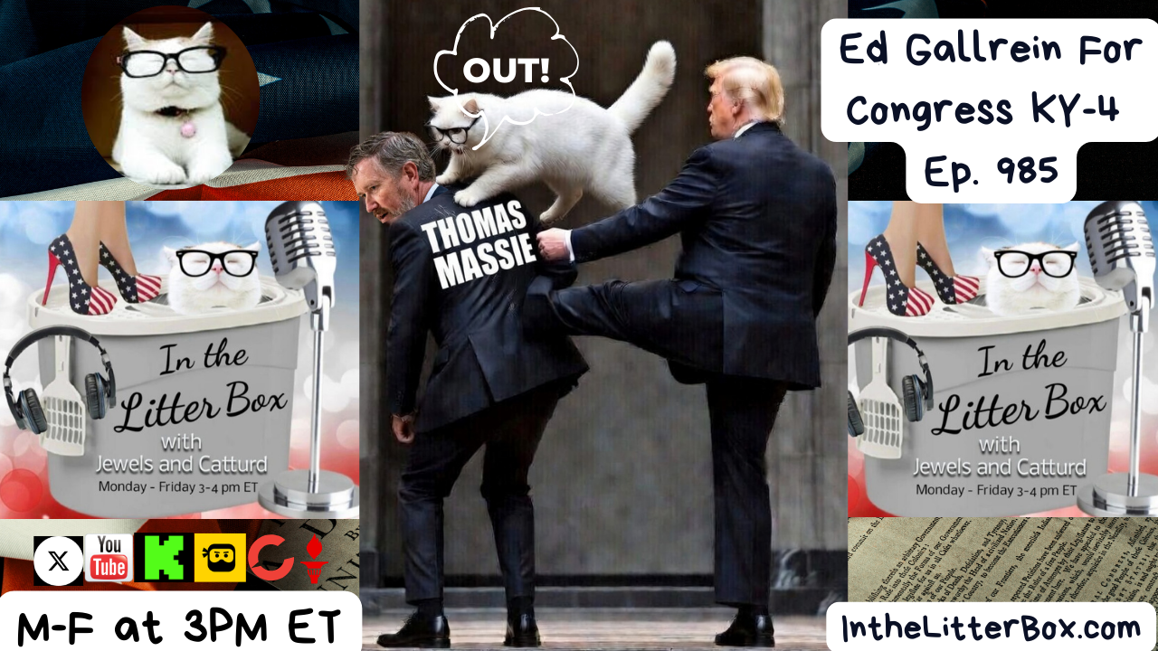 Ed Gallrein For Congress KY-4 | In the Litter Box w/ Jewels Jones & Catturd – Ep. 985 – 3/11/2026