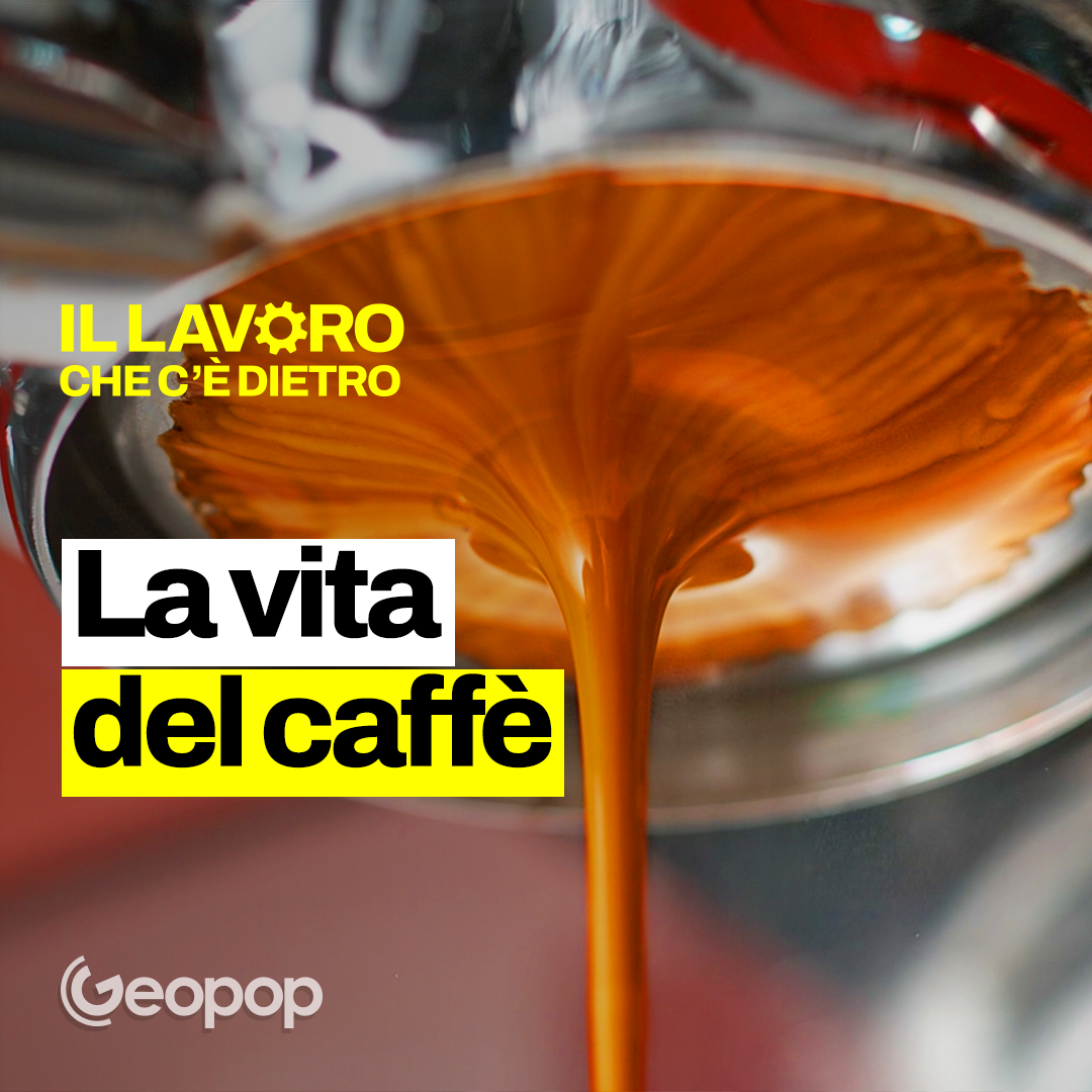 25 mesi per produrre i chicchi di caffè: dalle piantagioni alle tazzine