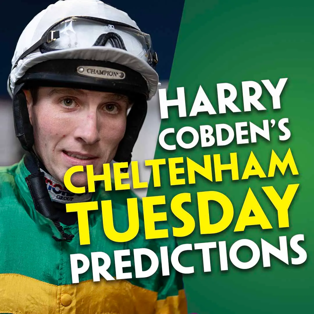 HARRY COBDEN'S CHELTENHAM TUESDAY PREDICTIONS | Five Rides On Day 1 | "This has been his target" HARRY COBDEN'S CHELTENHAM TUESDAY PREDICTIONS | Five Rides On Day 1 | "This has been his target"