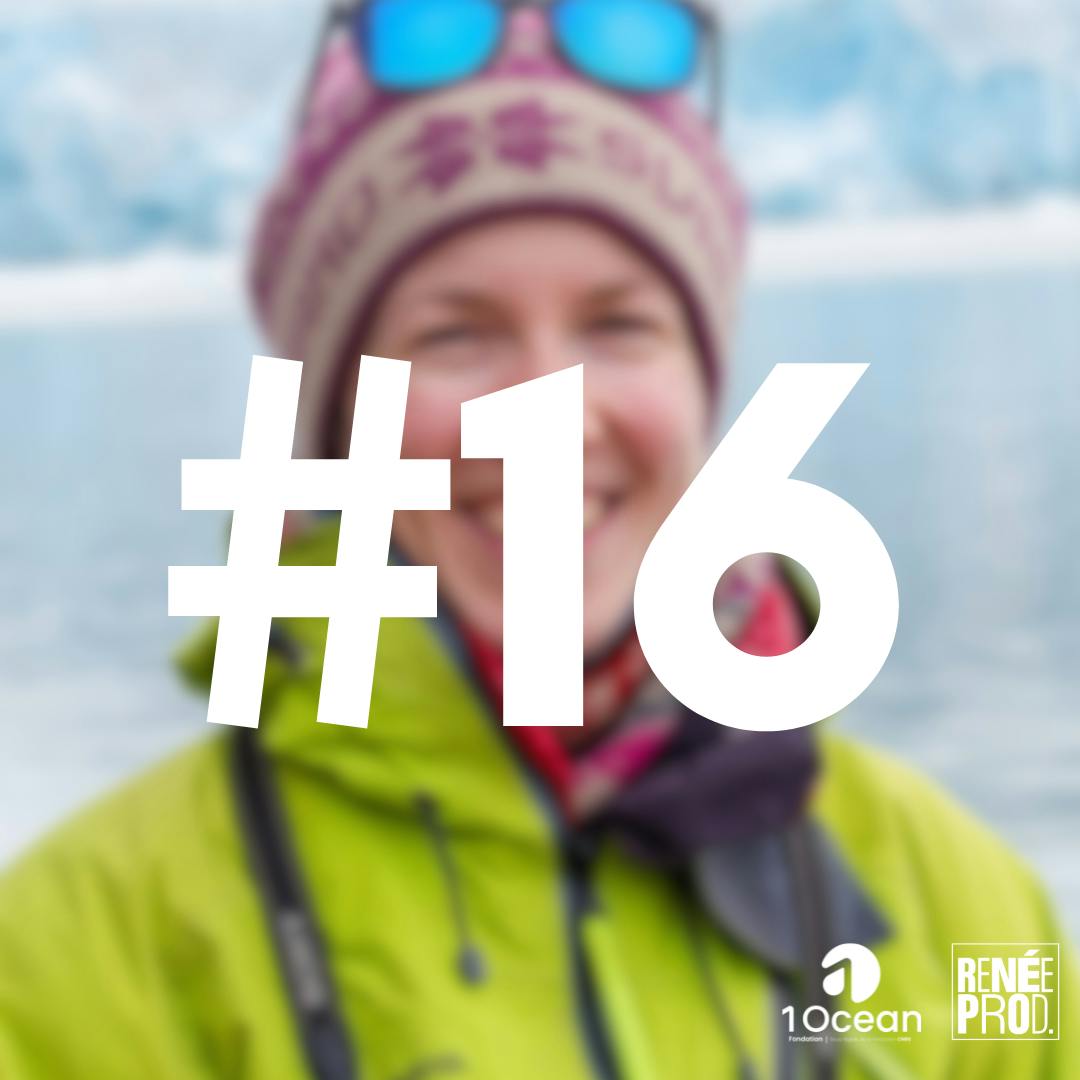 Plongeon aux confins de l'Arctique Plongeon aux confins de l'Arctique