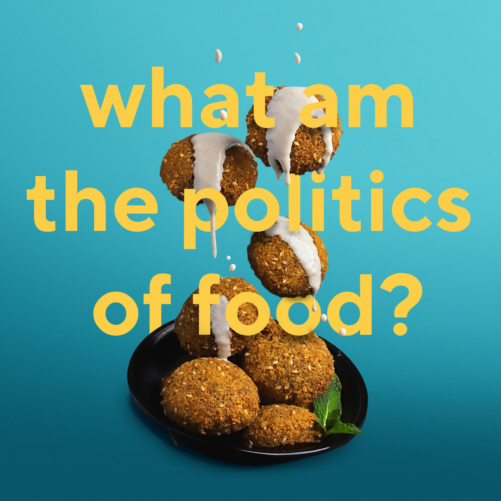128 – What Am The Politics of Food? (with Spice Bags Pod) podcast artwork