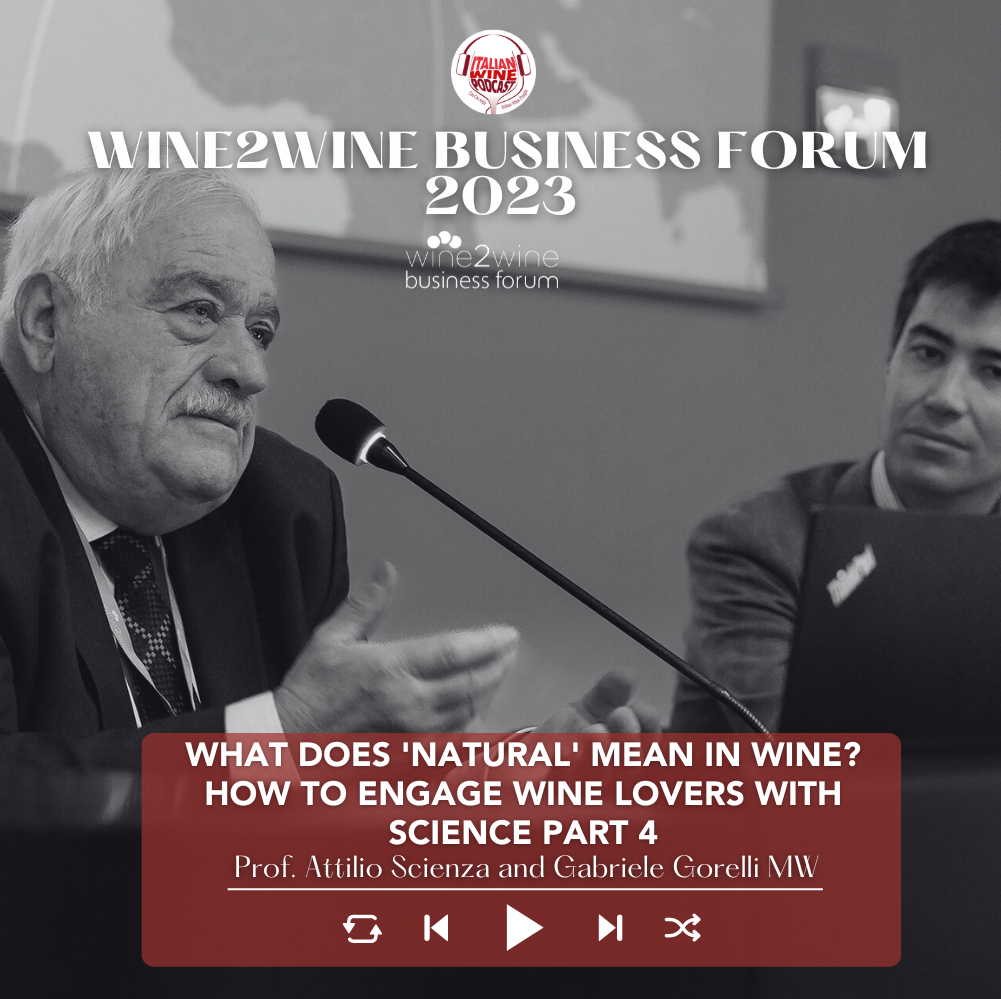 What does 'natural' mean in wine? Pt. 4 | Everybody Needs A Bit Of Scienza