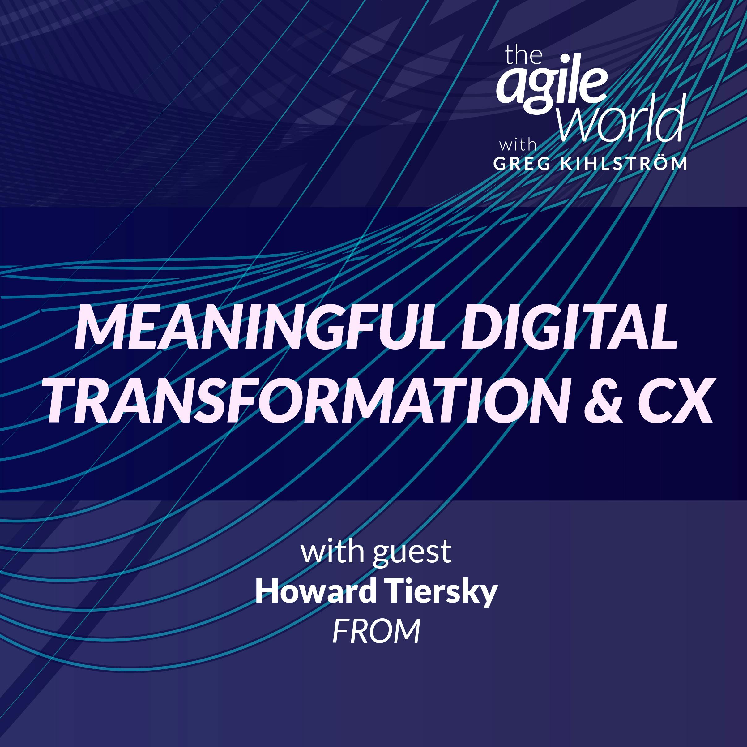 #159: Meaningful Digital Transformation & CX with Howard Tiersky, FROM Digital Transformation Agency