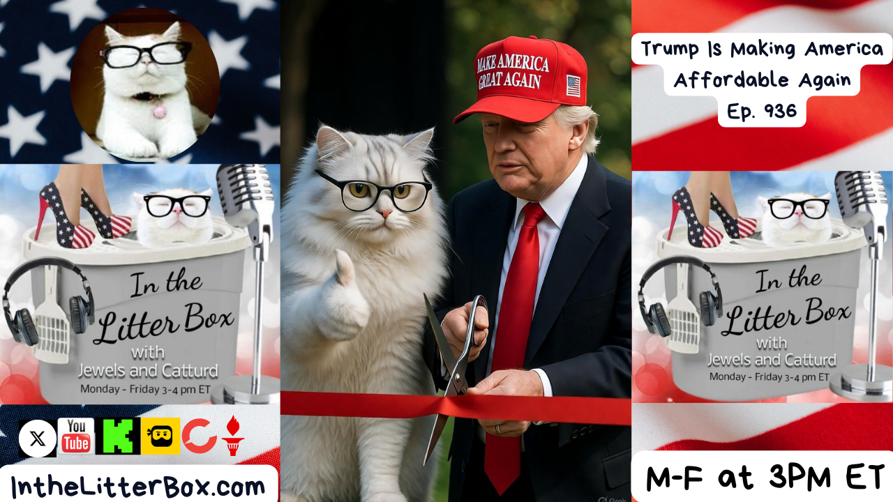 Trump Is Making America Affordable | In the Litter Box w/ Jewels & Catturd – Ep. 936 – 12/11/2025