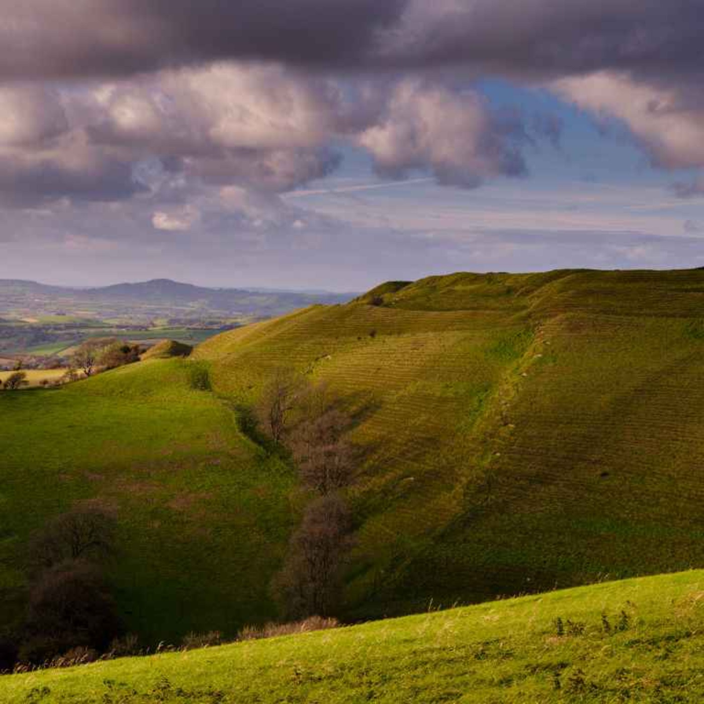175. Explore mysterious Eggardon Hill in Dorset – and hear a poignant conversation with the local farmer