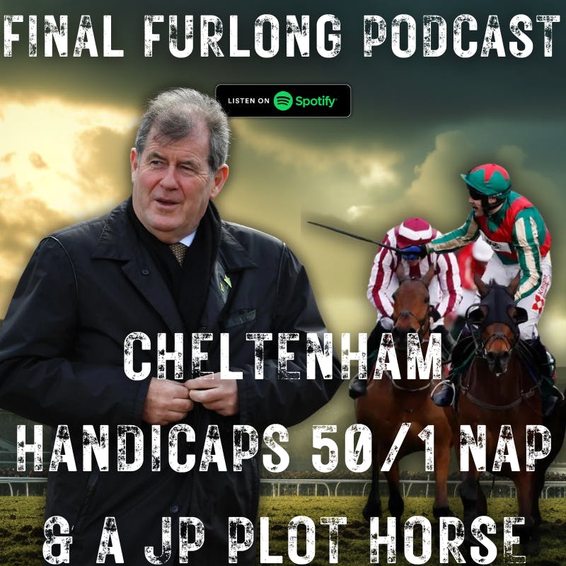 Cheltenham Handicap Chases Preview with a 50/1 NAP and a potential JP Plot Horse!