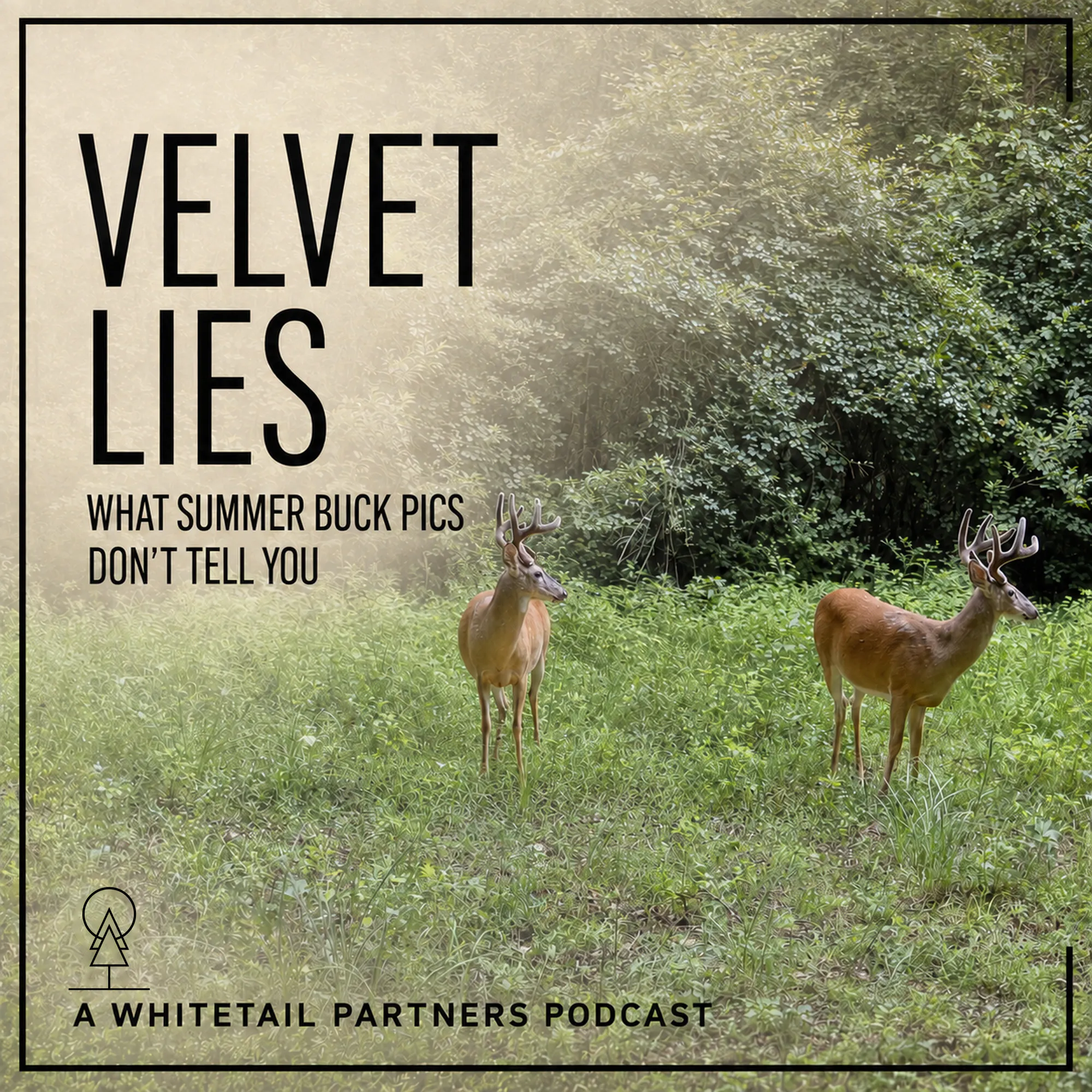 92. Velvet Lies: Don’t Trust Your Summer Buck Photos episode artwork