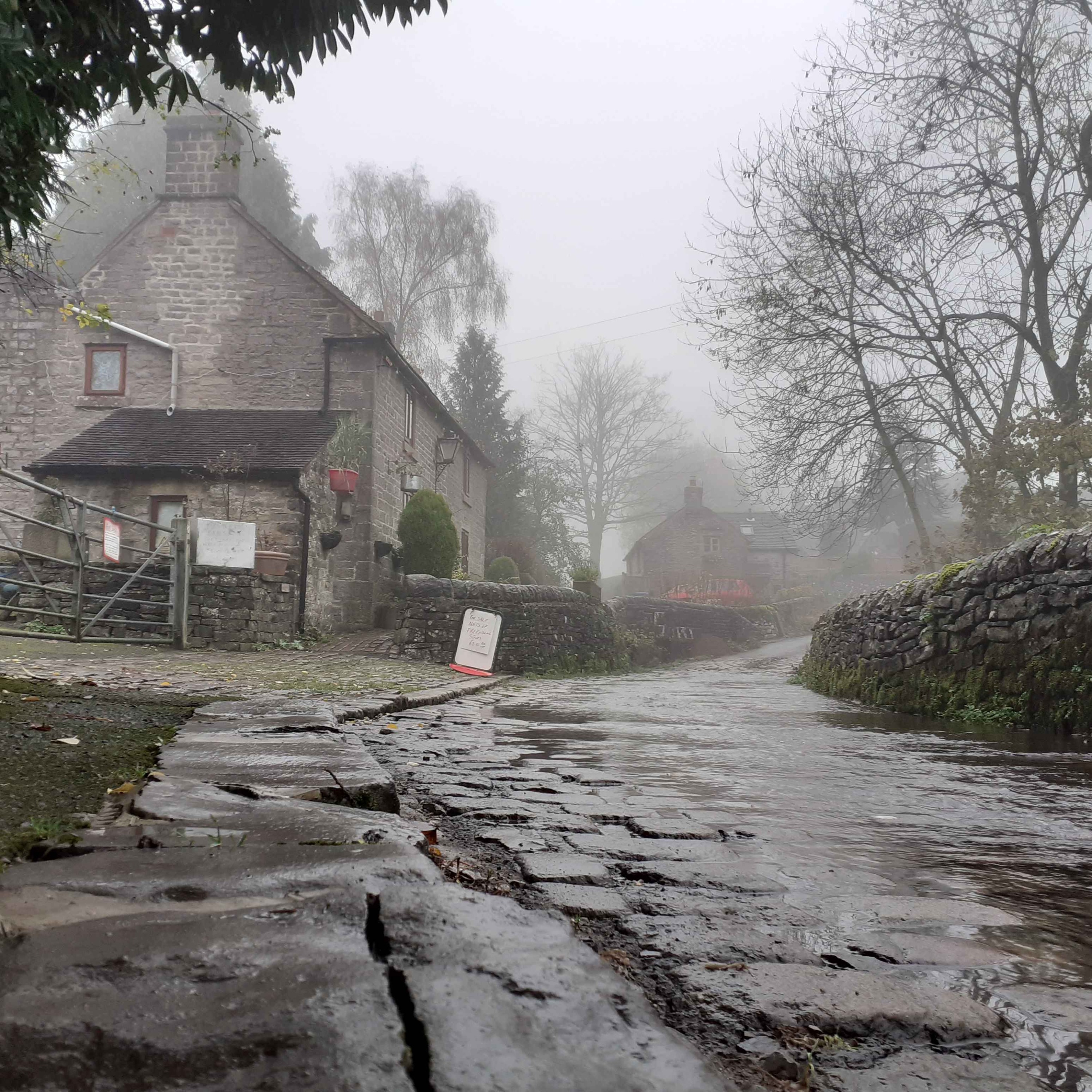 Sound Escape 92: The joy of lying in bed and listening to the countryside waking up