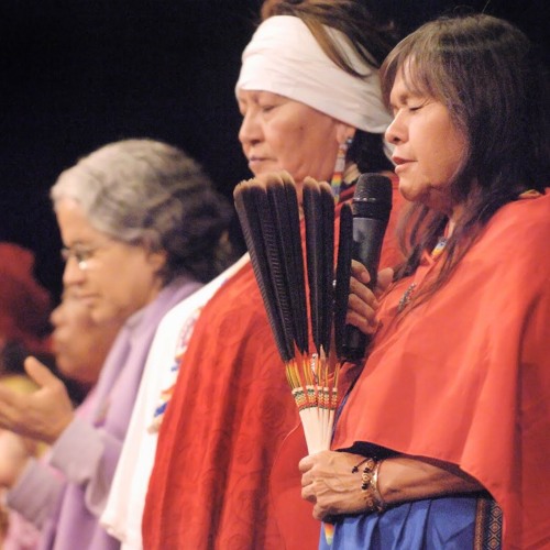 Indigenous Visionary Plant Traditions