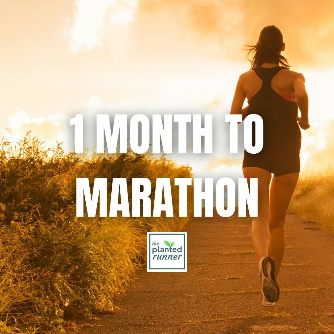 Three Month Marathon Series, Month 1