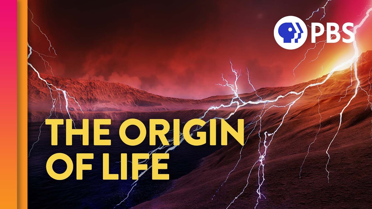 Where Did Life Come From? (feat. PBS Space Time and Eons!) episode artwork