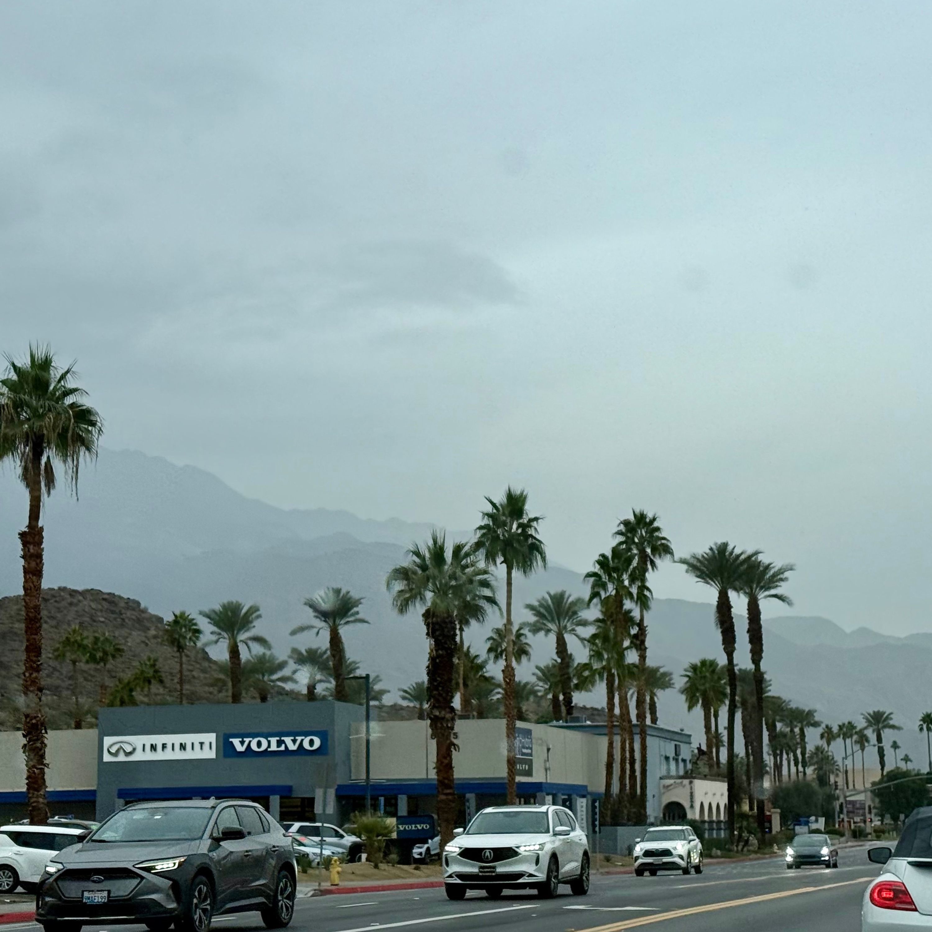 This Christmas May Not Be White But It Will Be Bright