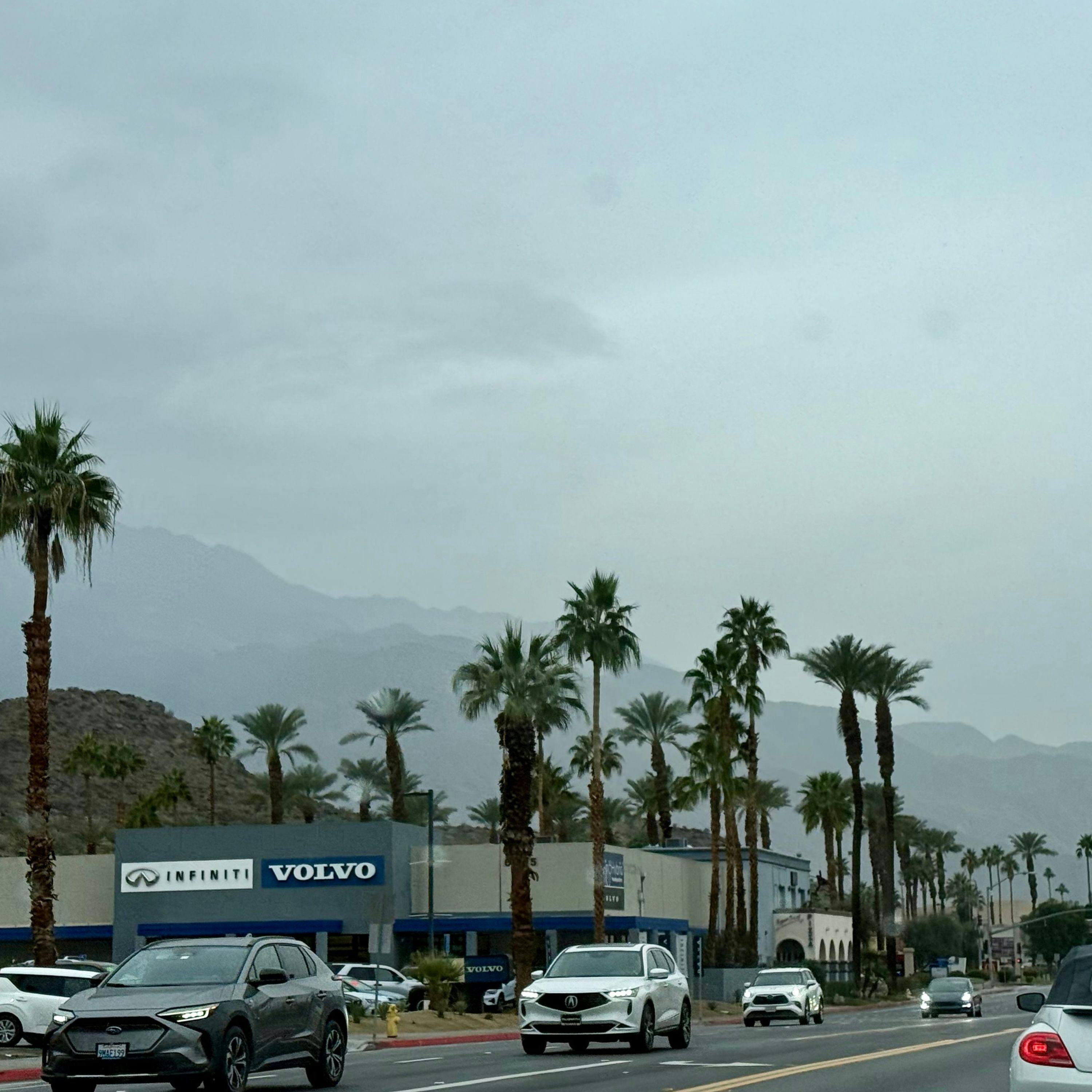 This Christmas May Not Be White But It Will Be Bright This Christmas May Not Be White But It Will Be Bright