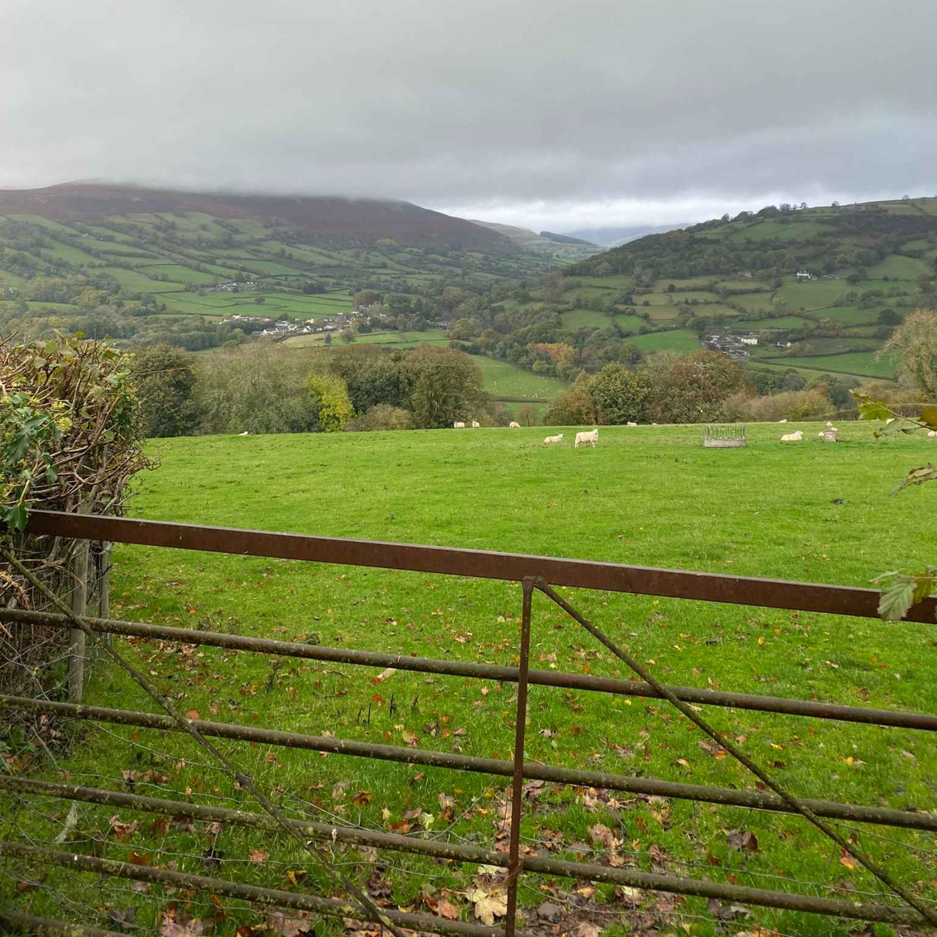 Sound Escape 91: Enjoy autumn moods in a forgotten Welsh valley