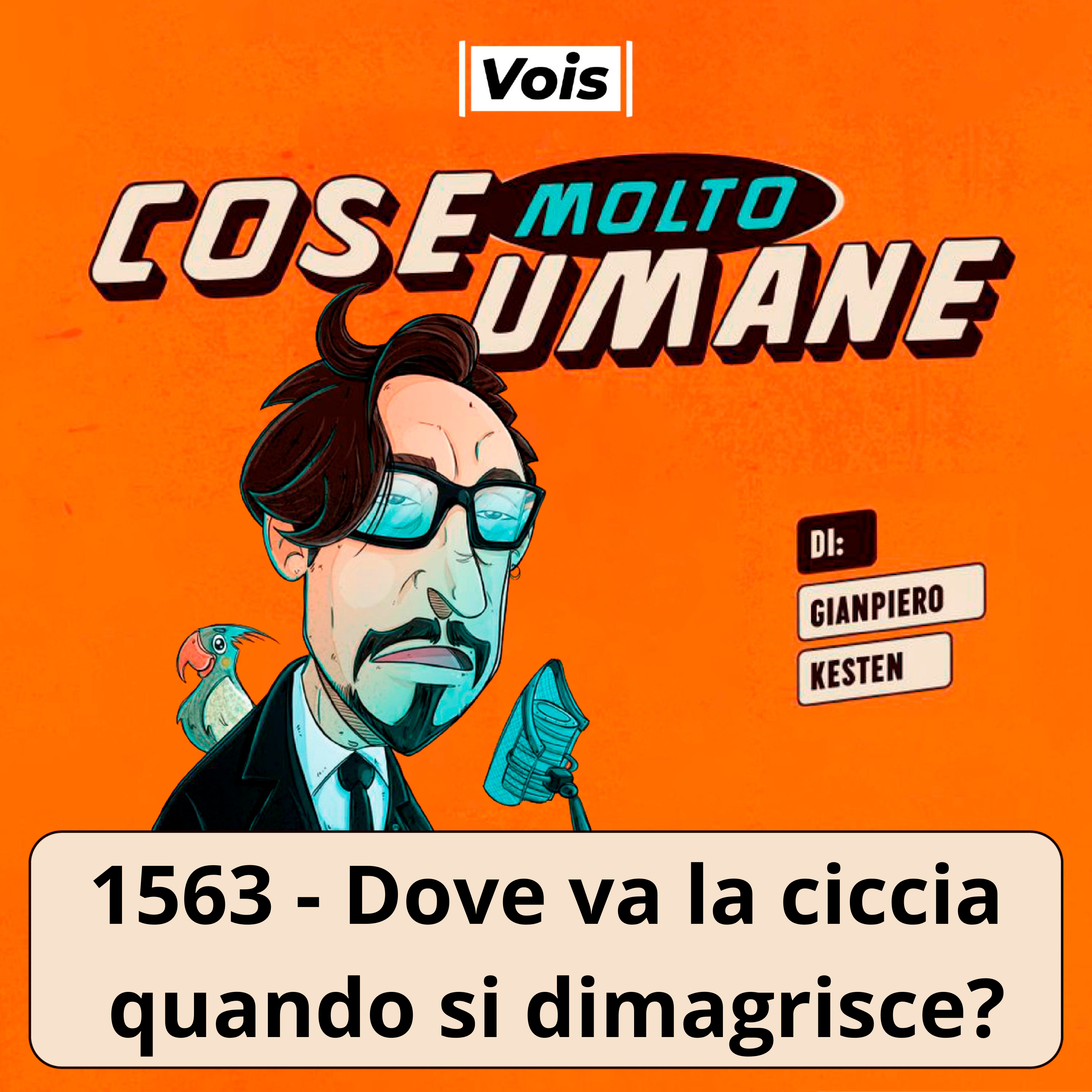 1563 - Dove va la ciccia quando si dimagrisce?