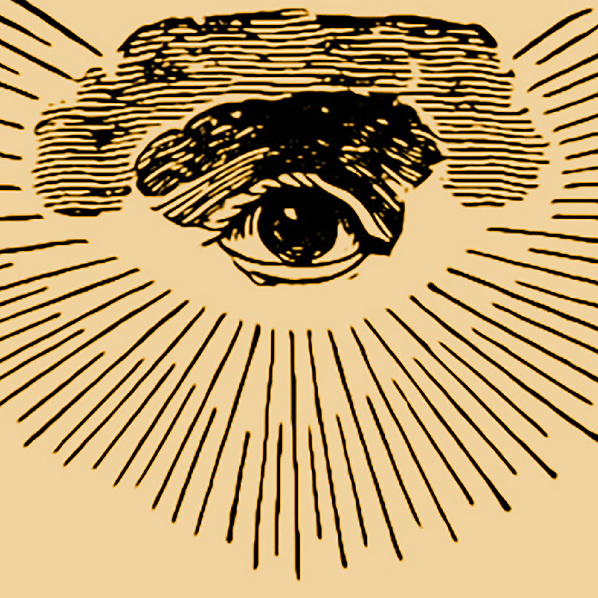 Thumbnail for "Cold Read".