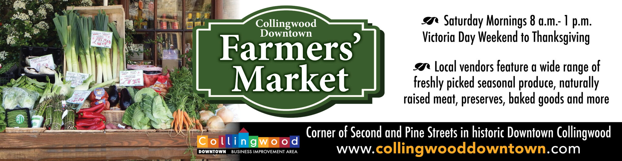 Sam Ball- Downtown Collingwood Farmer's Market episode artwork