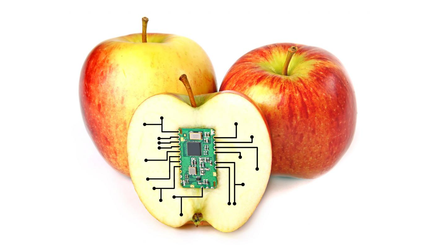 The Future of Food Service