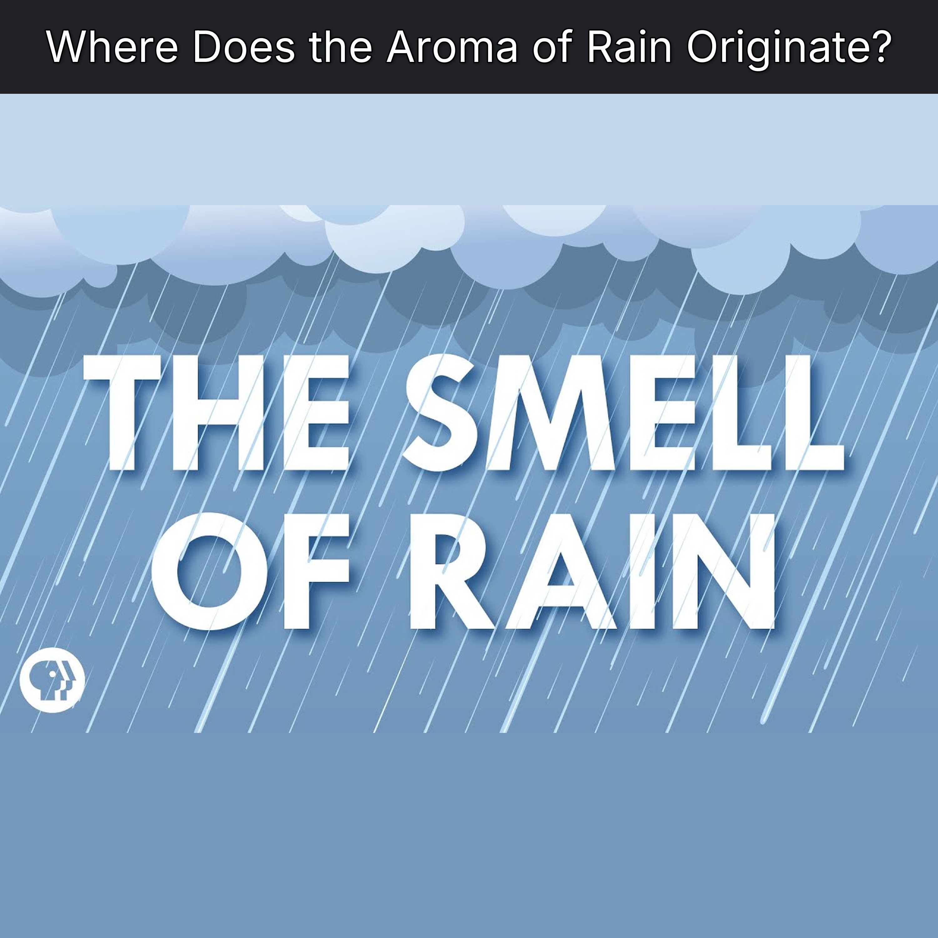 Where Does the Aroma of Rain Originate? episode artwork