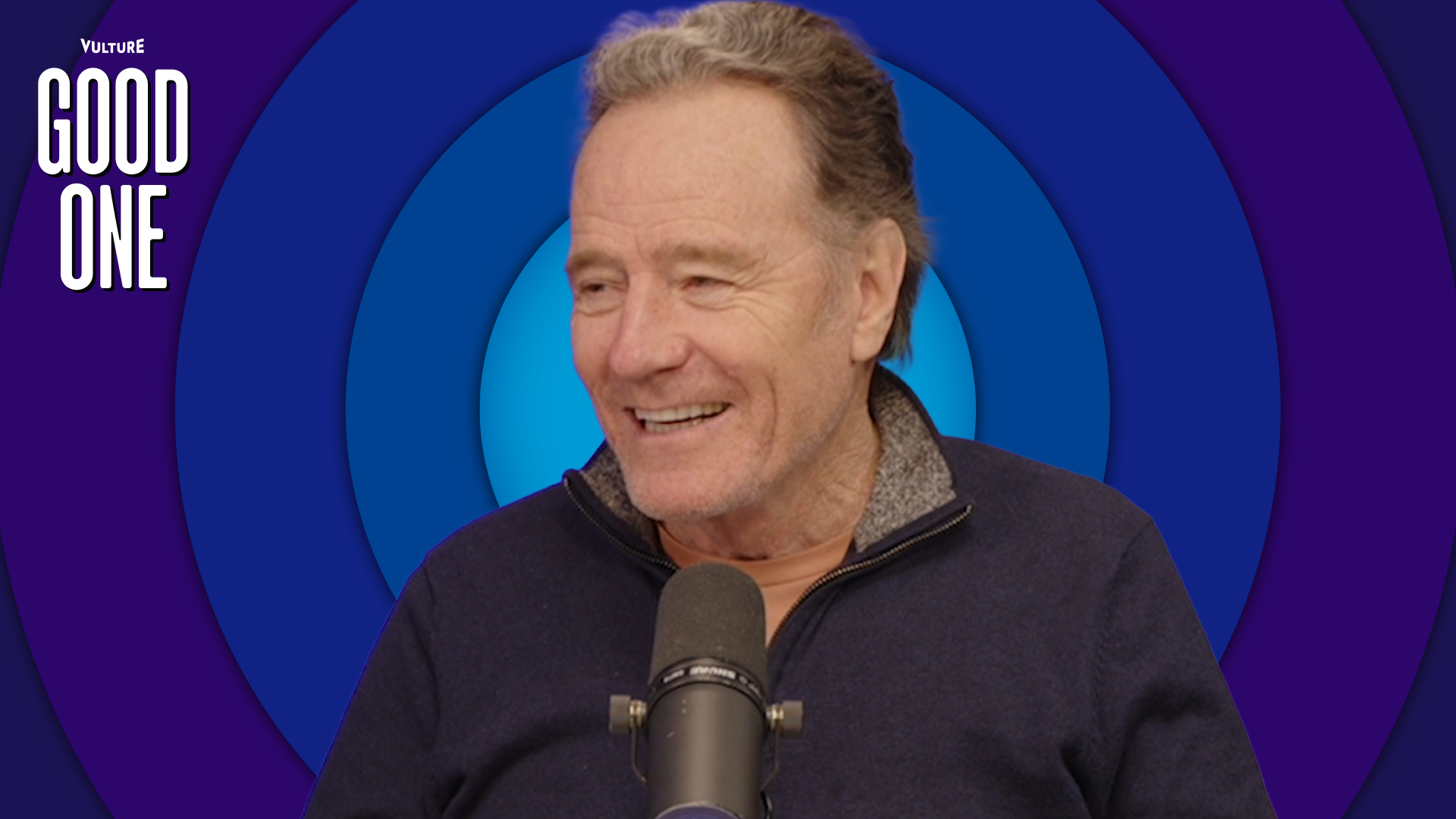 Bryan Cranston Didn't Have to Be Covered in Bees, and Yet!