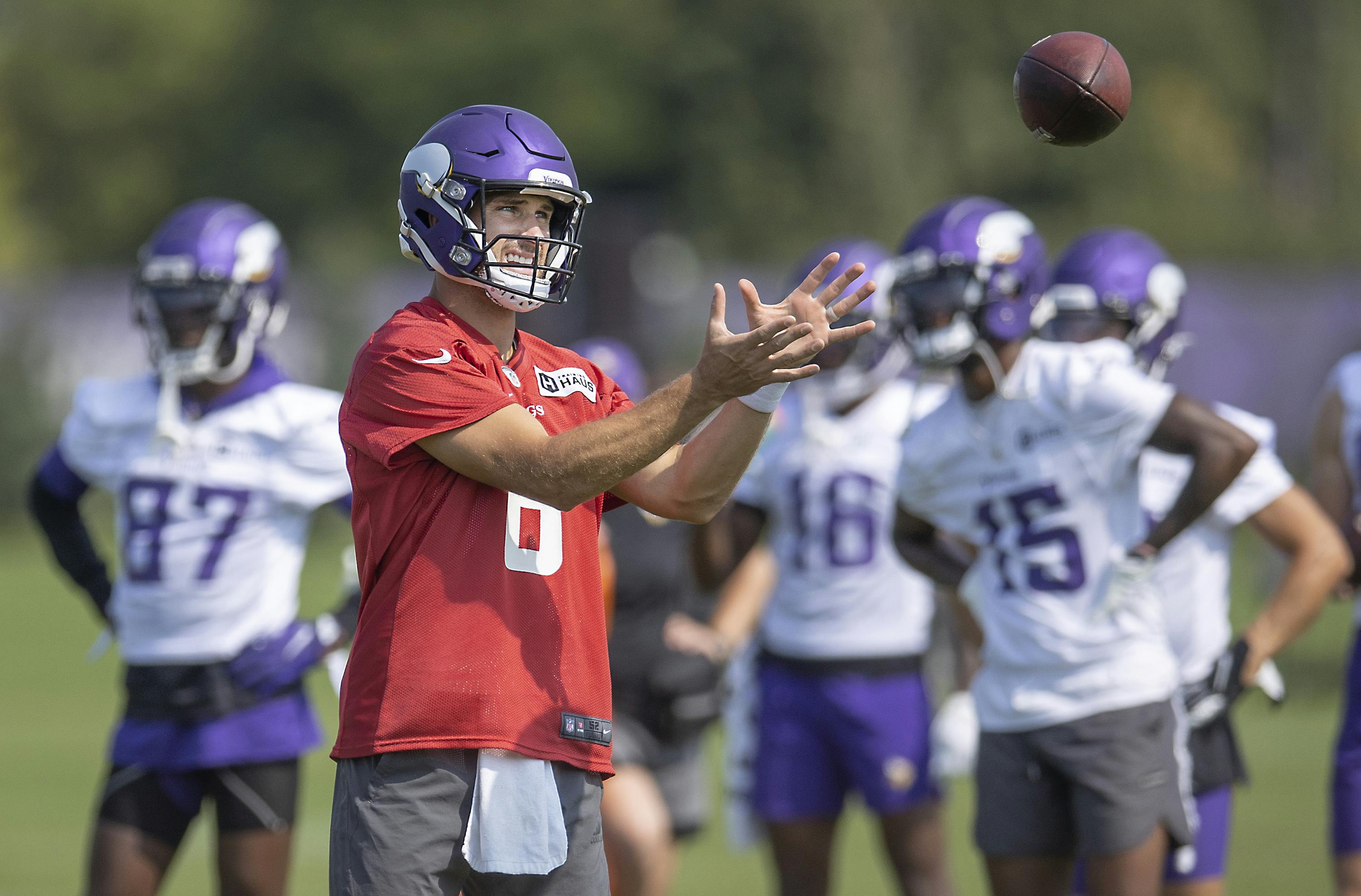 Expectations for Vikings offense, NFC North from the Minnesota State Fair