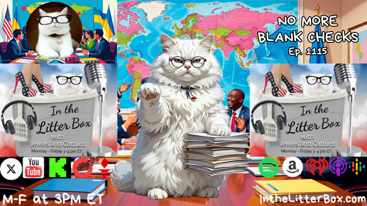 NO MORE BLANK CHECKS | In the Litter Box w/ Jewels & Catturd – Ep. 1115 – 10/14/2026 episode artwork