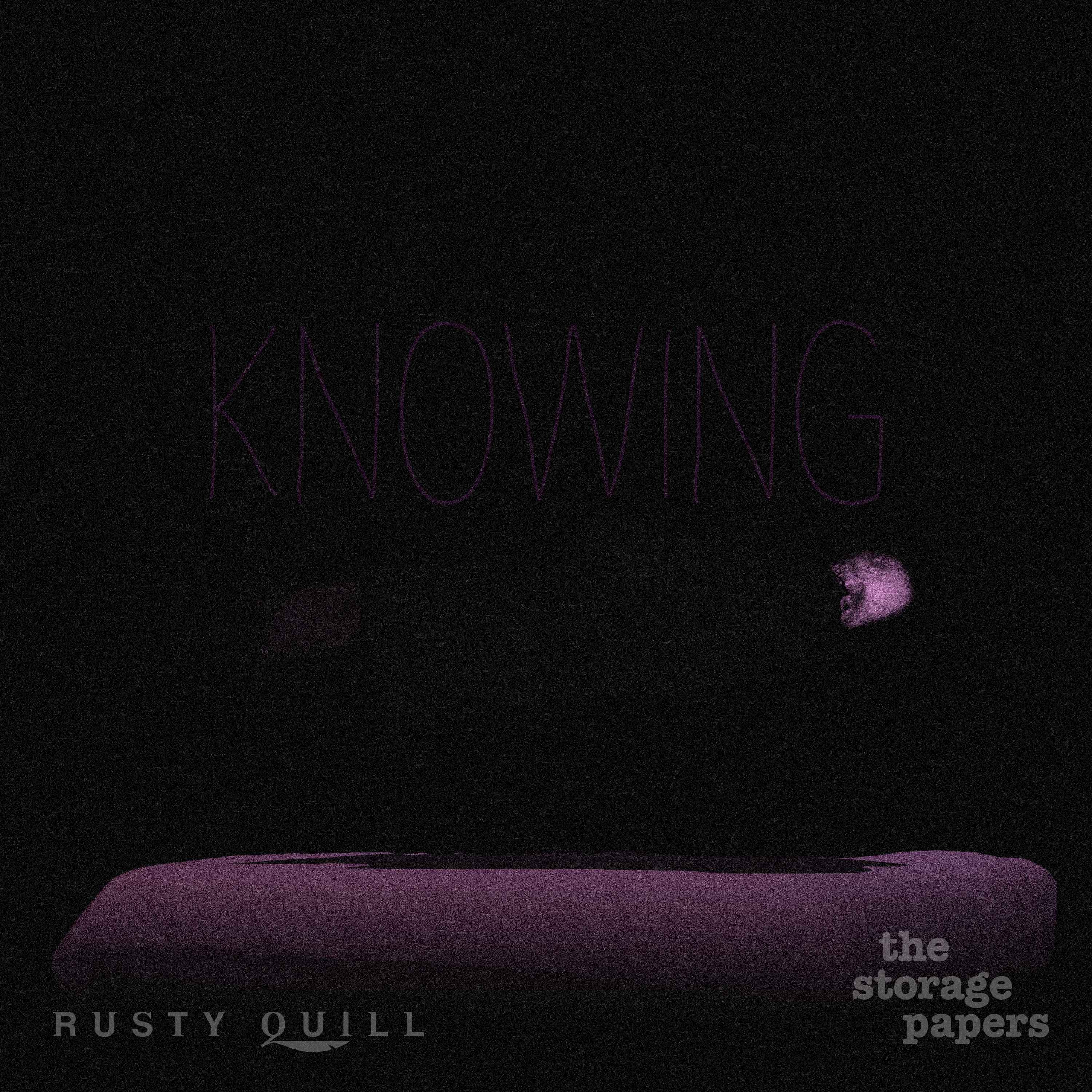 "The Storage Papers" Podcast