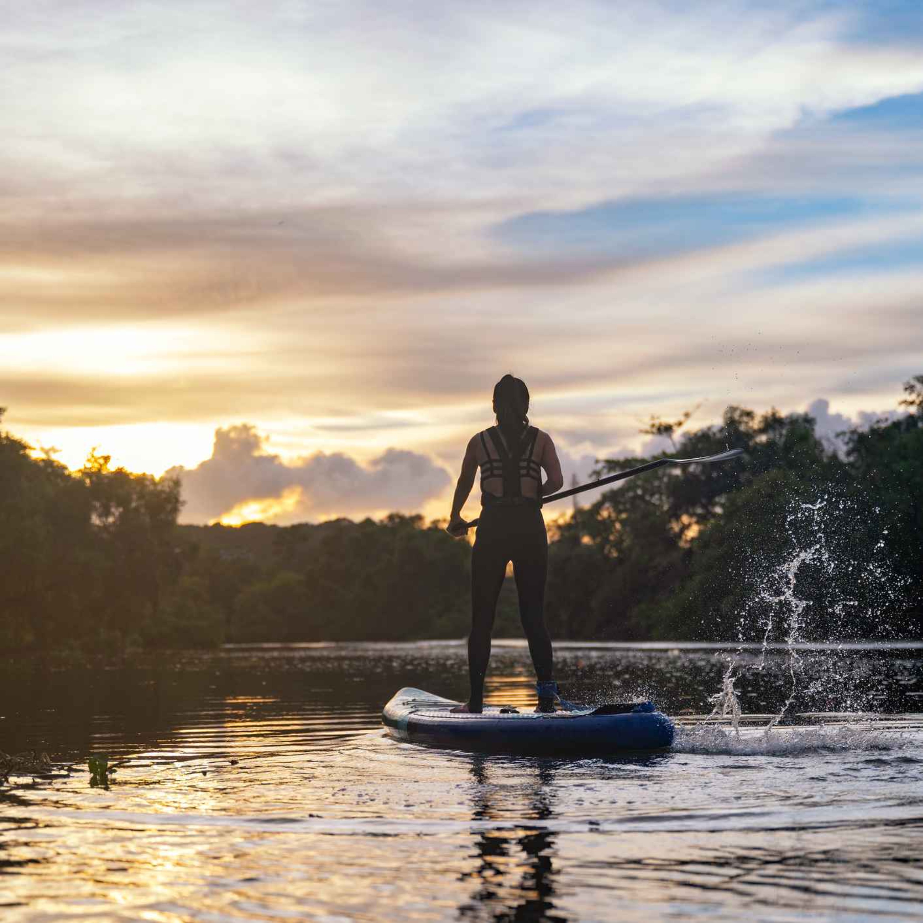 Sound Escape 87: An amazing paddleboarding journey – with geese